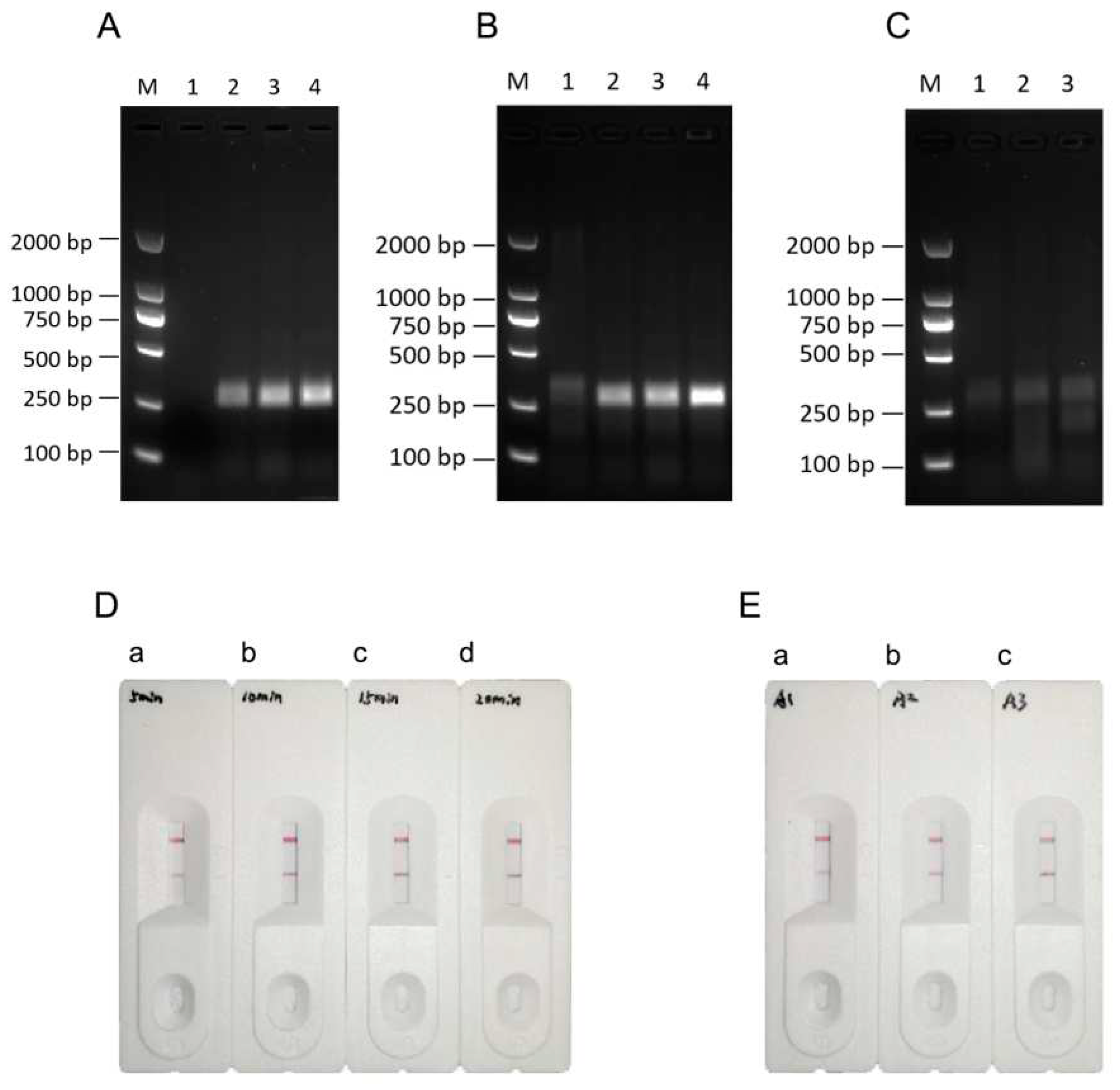 Preprints 92899 g004