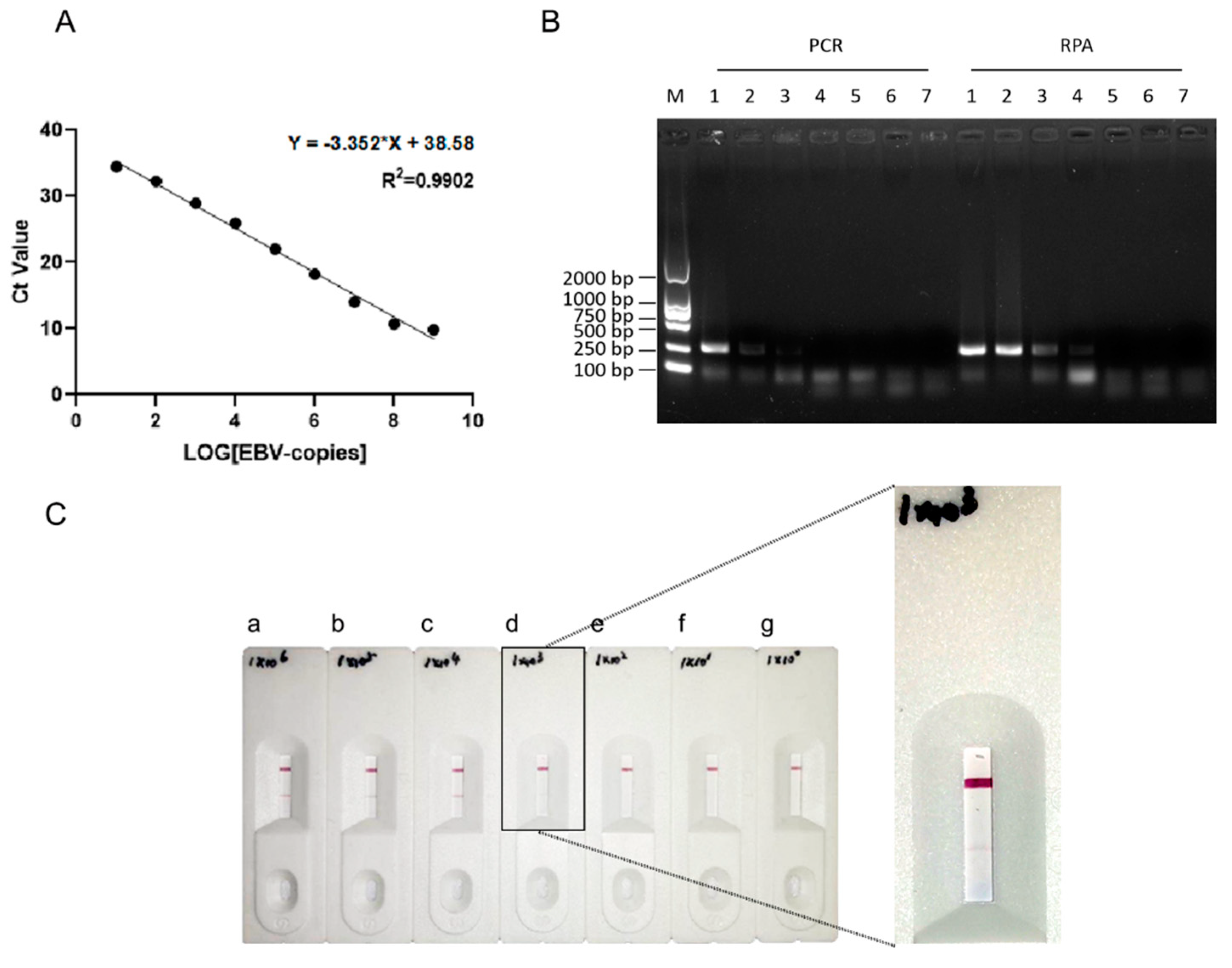 Preprints 92899 g005