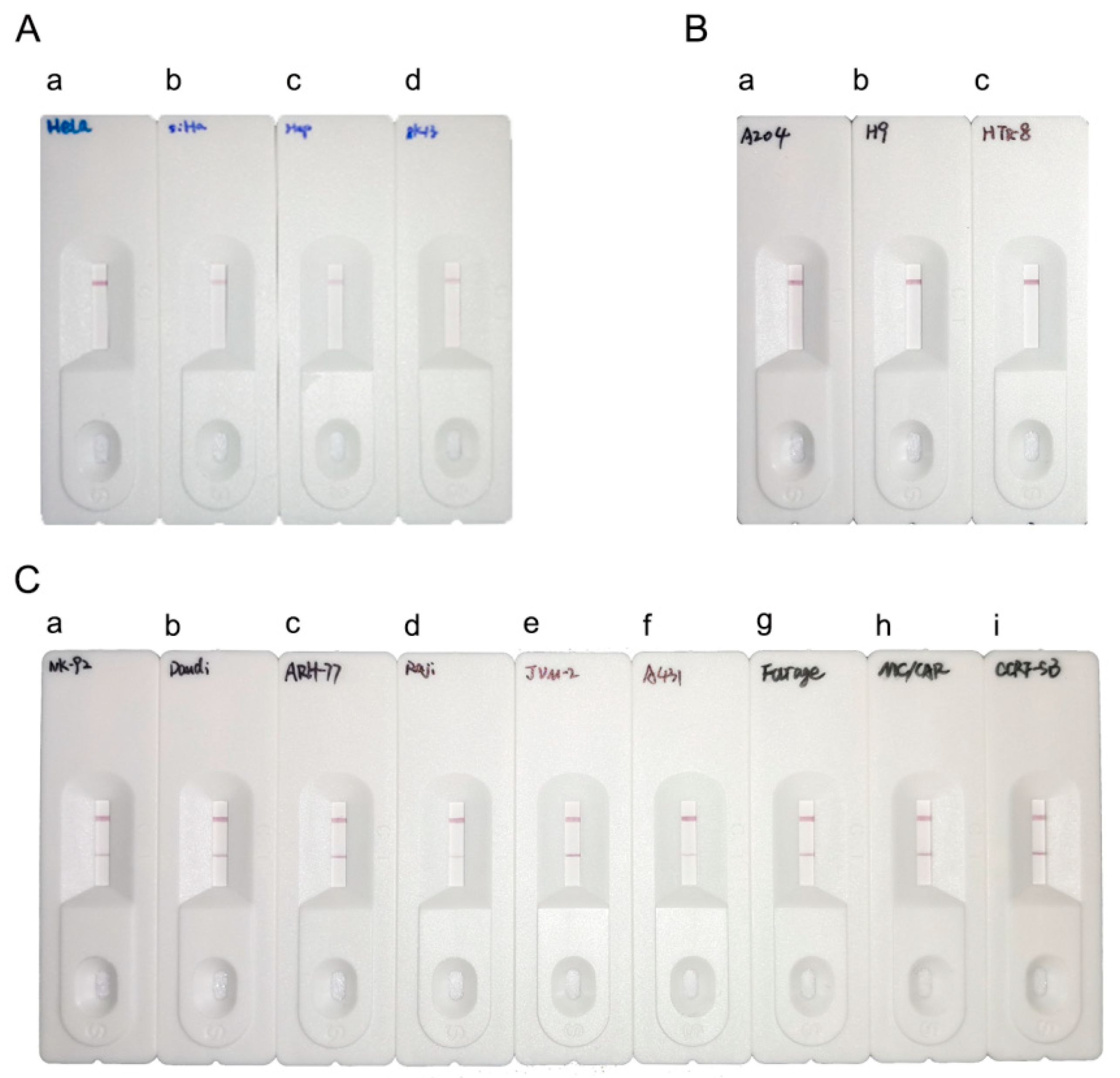 Preprints 92899 g006