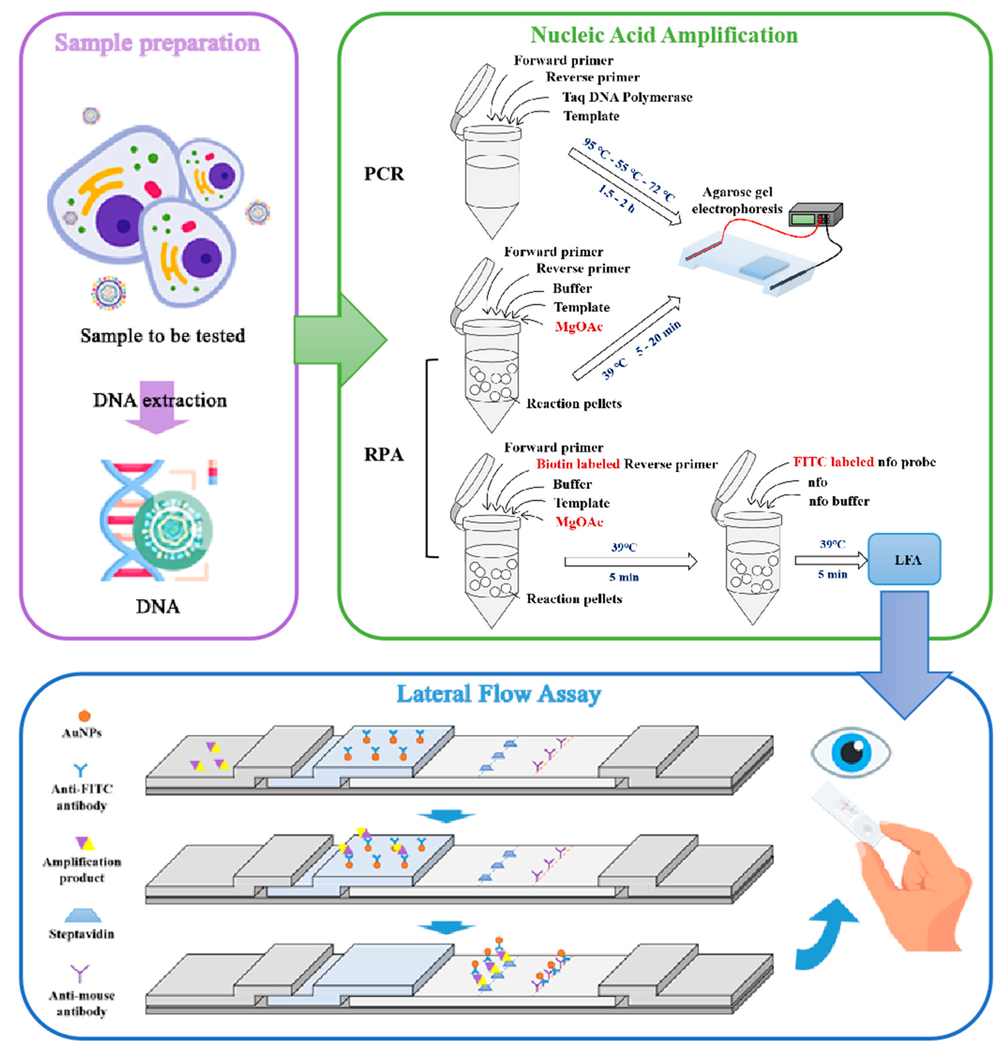 Preprints 92899 g007