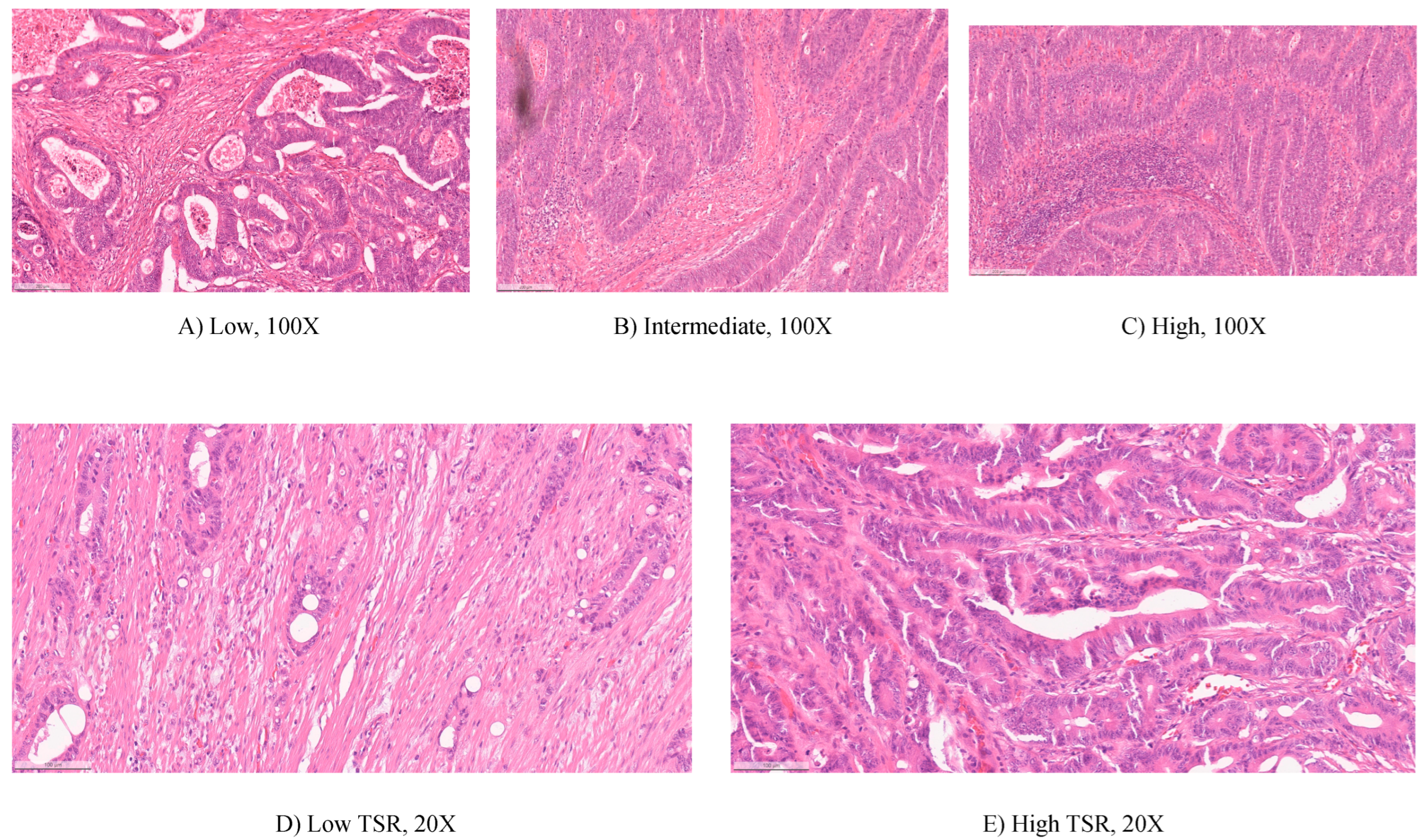 Preprints 75870 g001