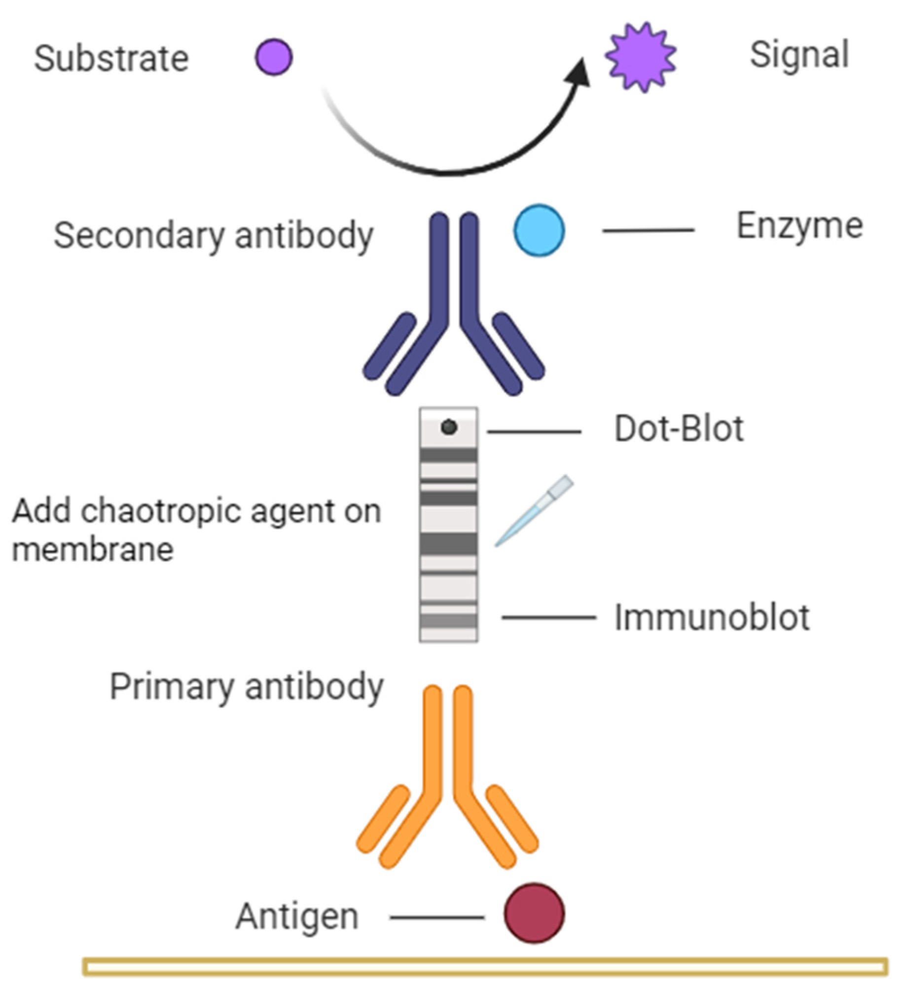 Preprints 94696 g001