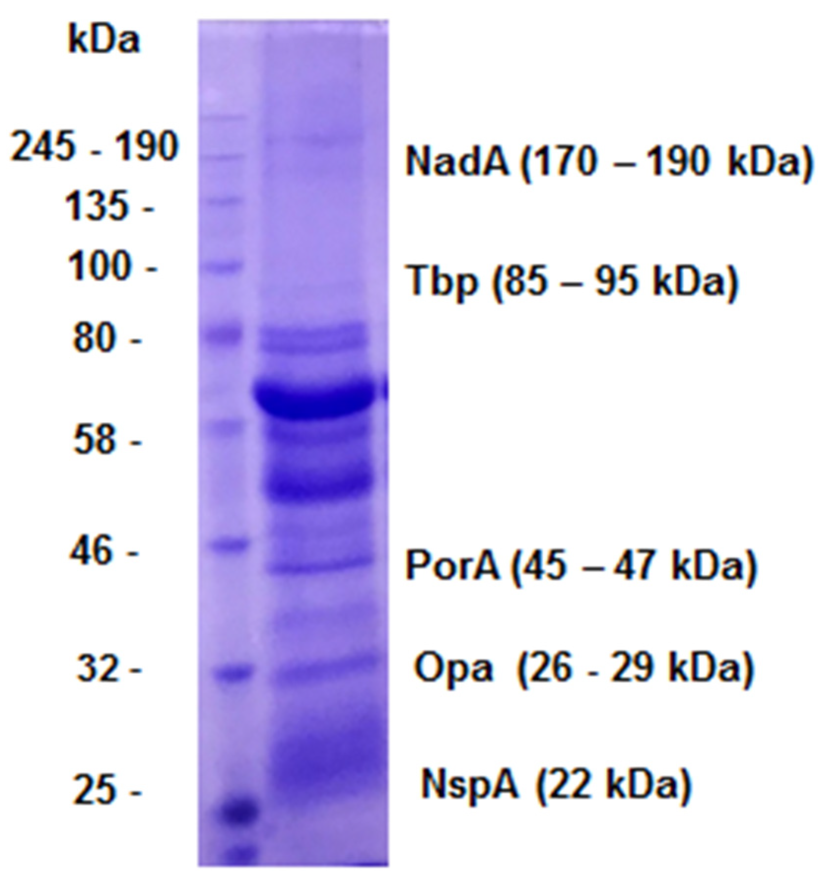 Preprints 94696 g002