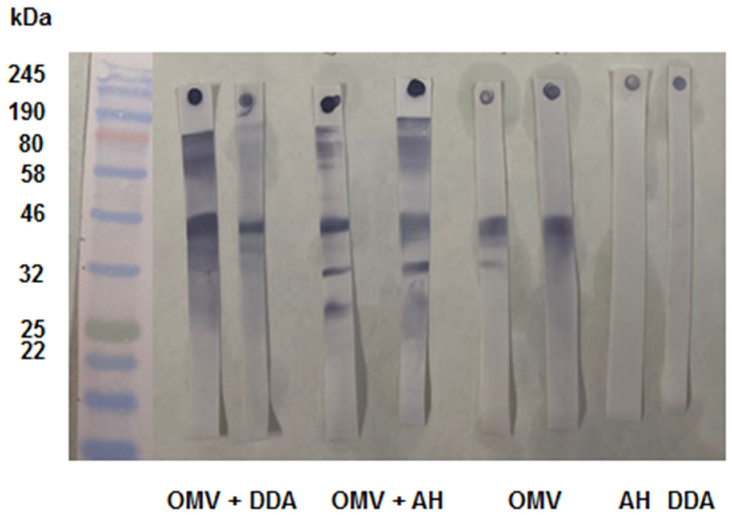 Preprints 94696 g004