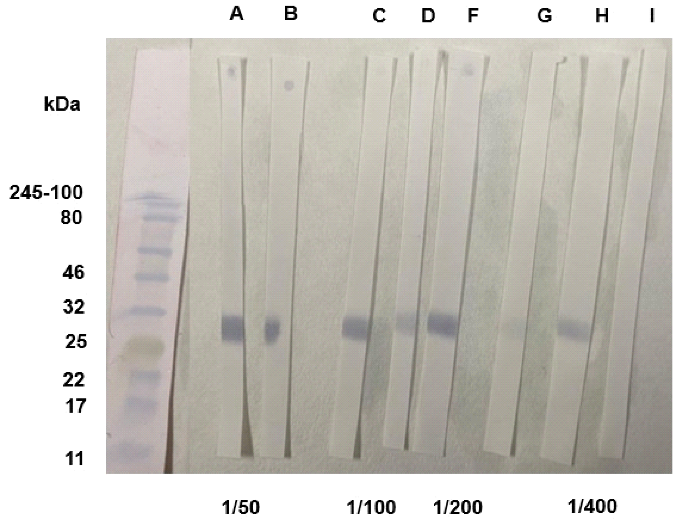 Preprints 94696 g006