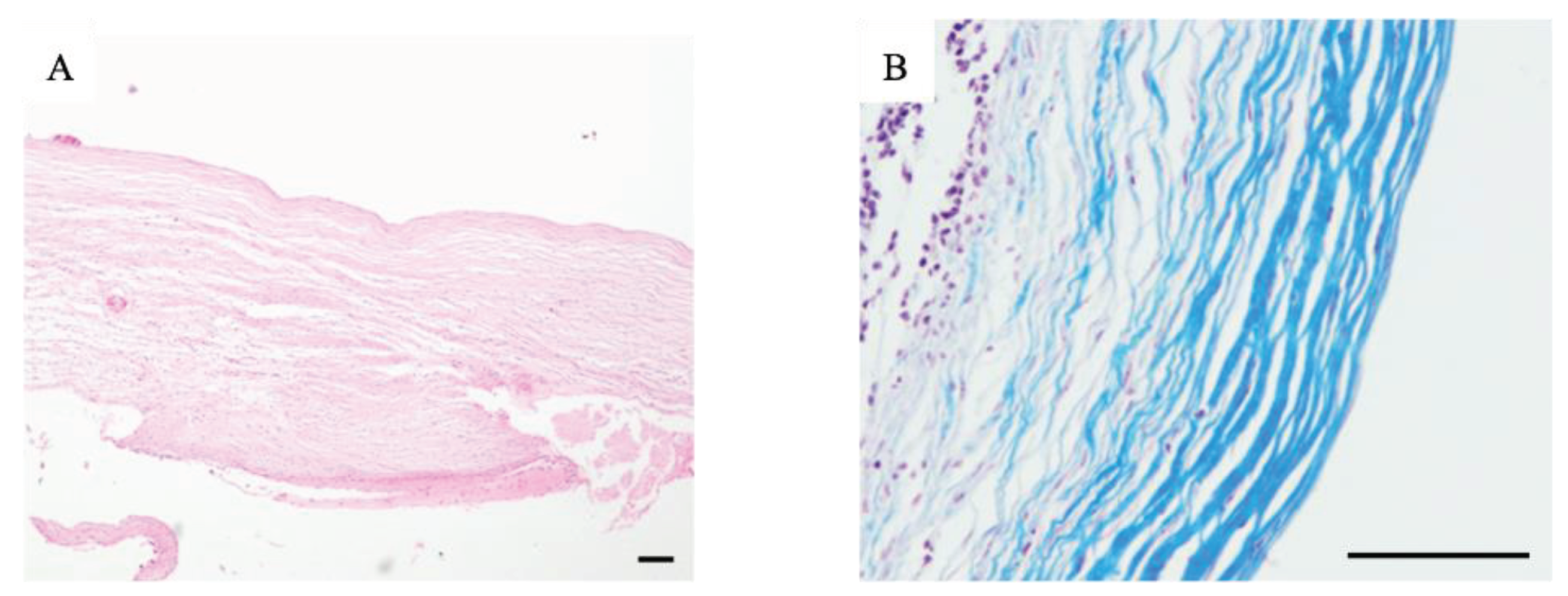 Preprints 102797 g002