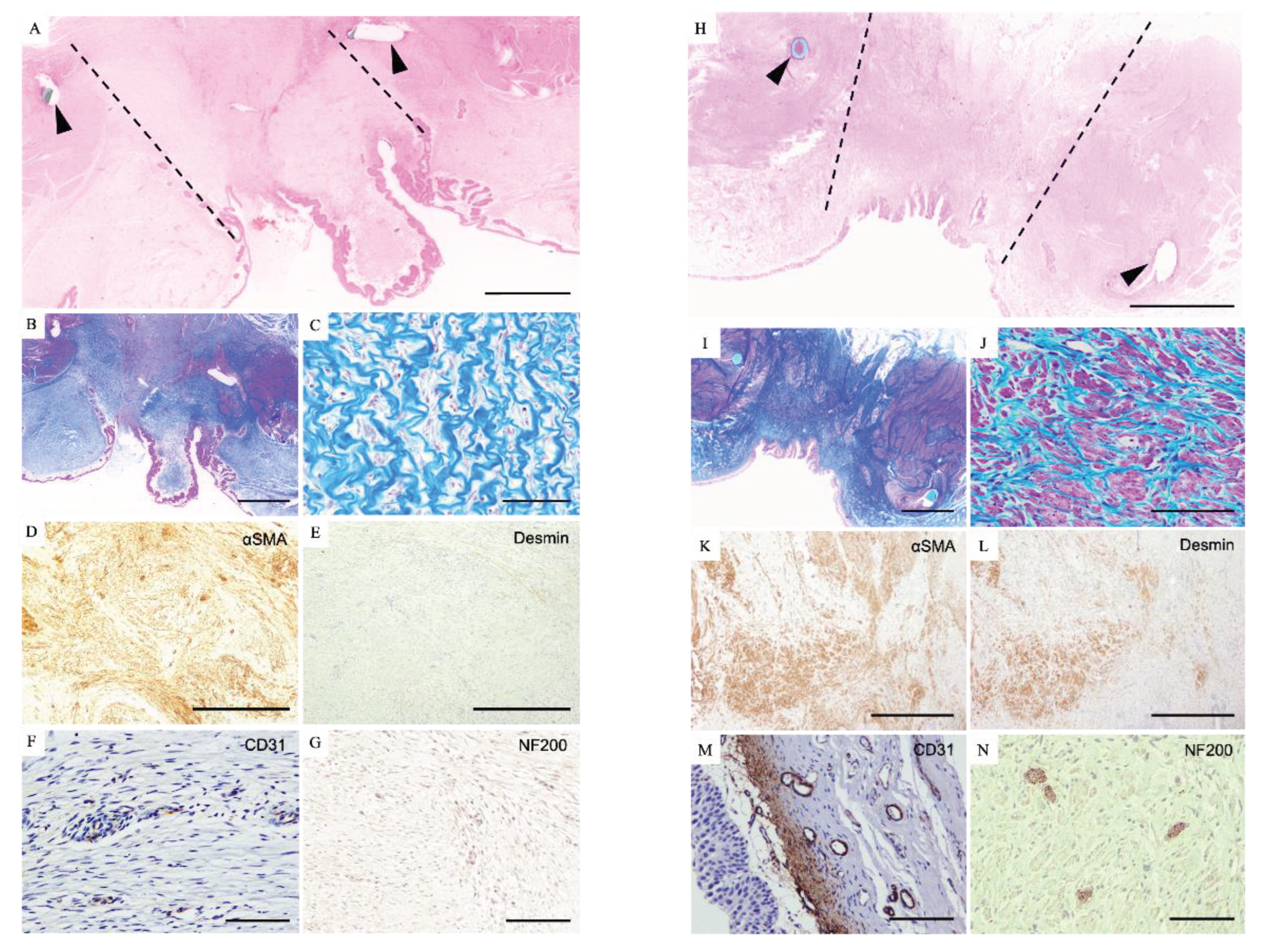 Preprints 102797 g004