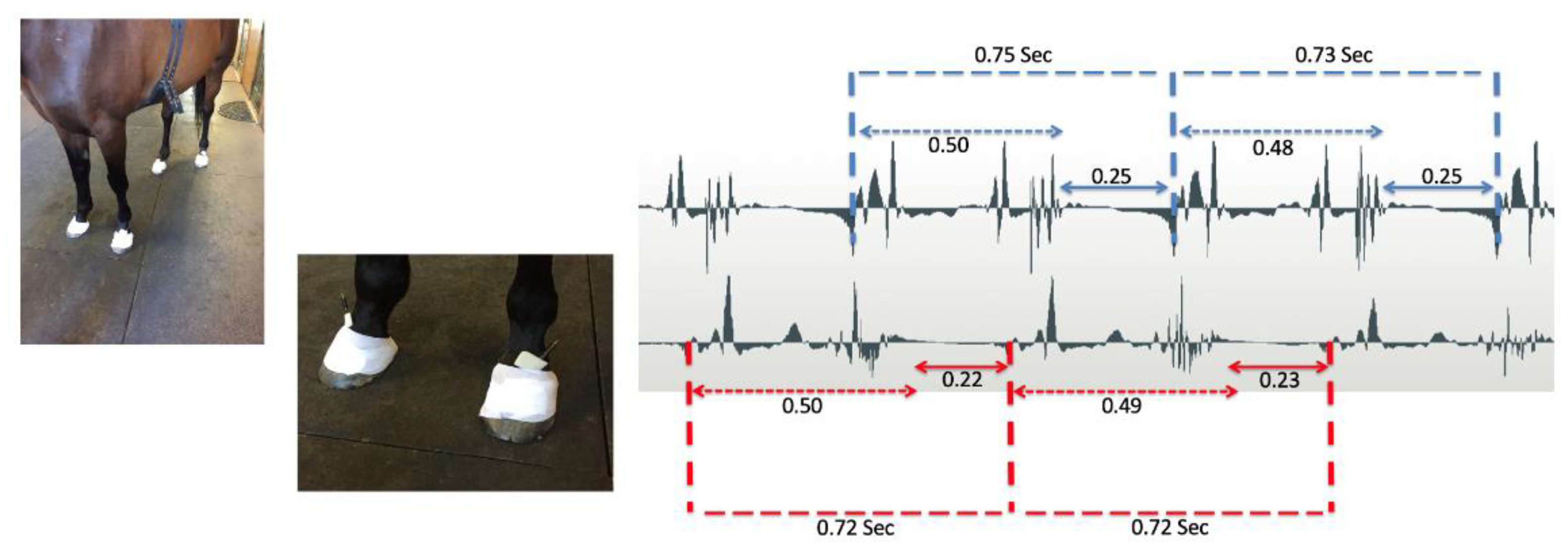 Preprints 115339 g001