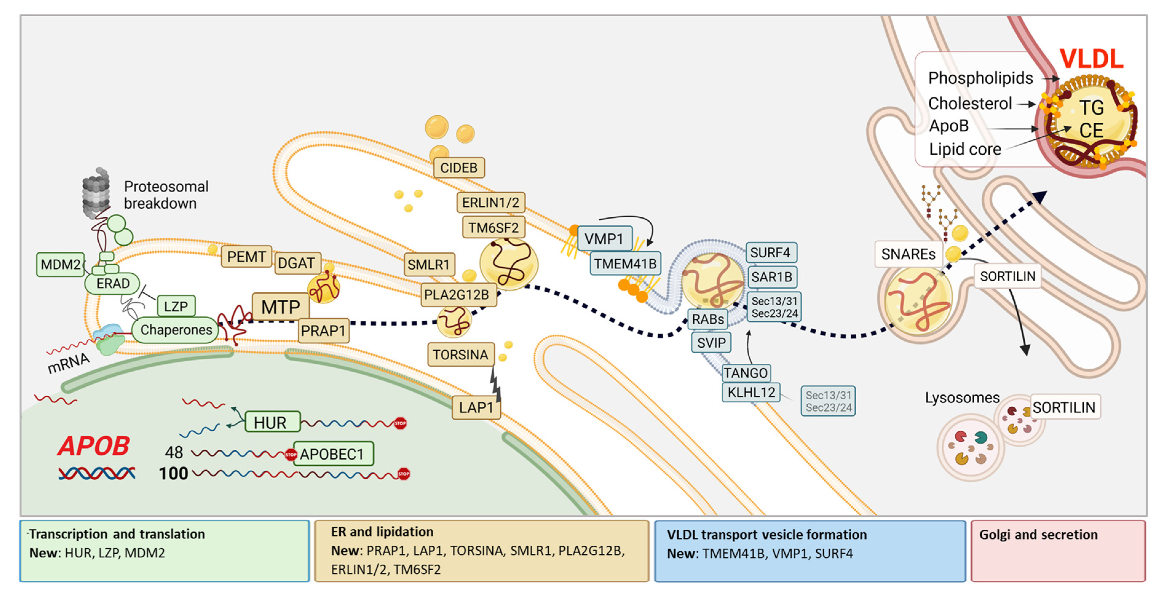 Preprints 77092 g001