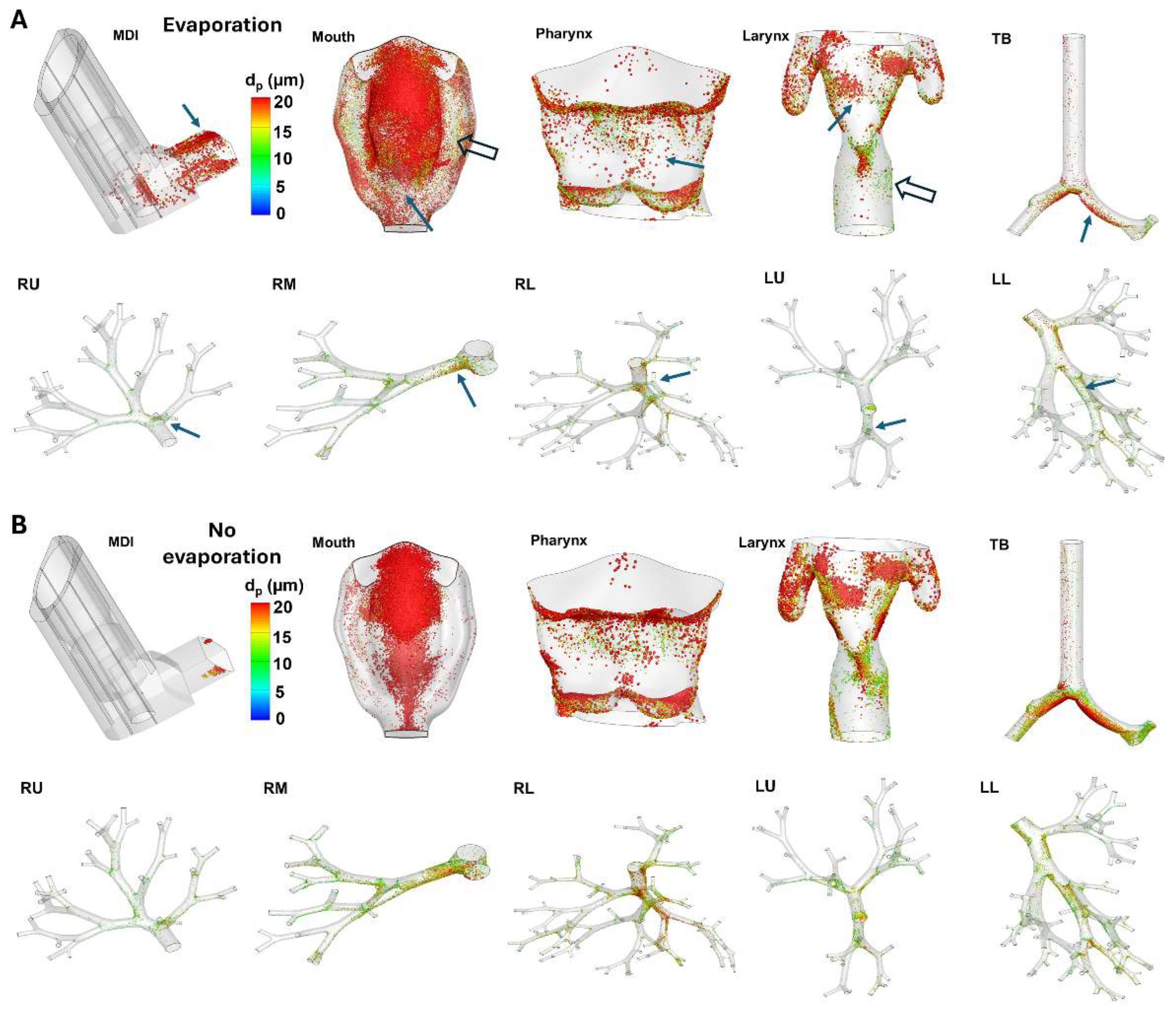 Preprints 120978 g006