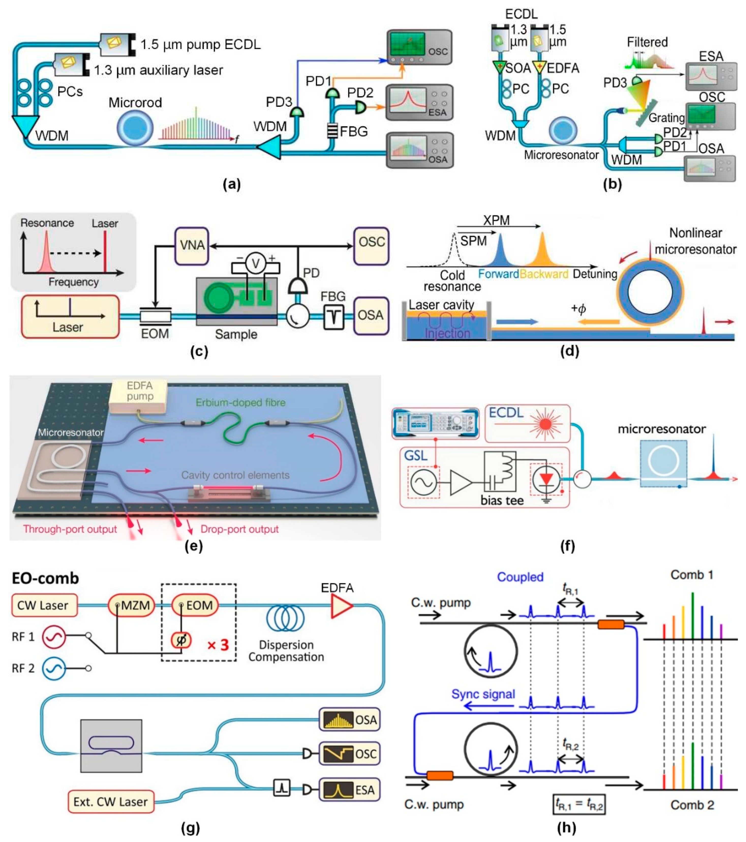 Preprints 66906 g007