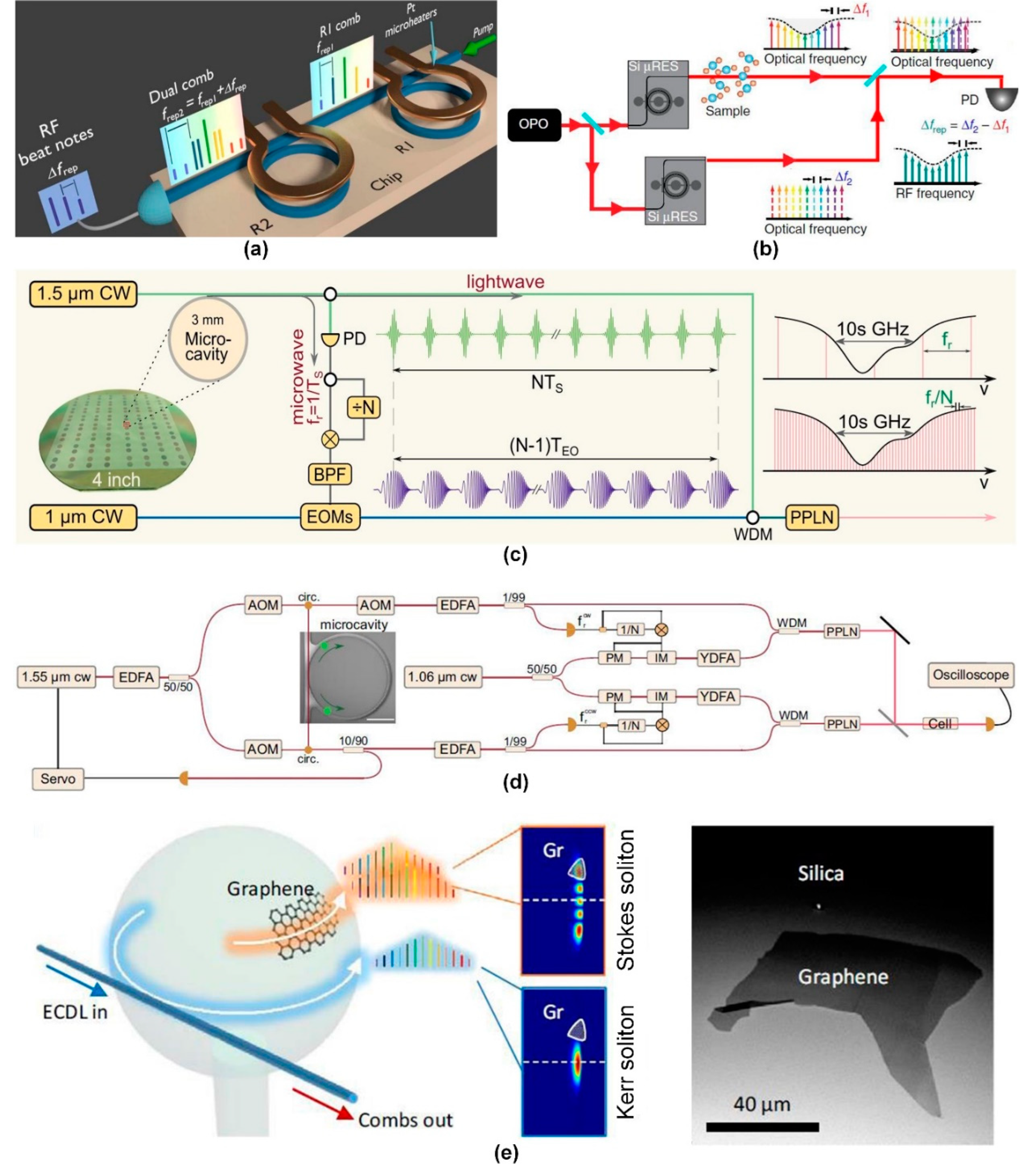 Preprints 66906 g017