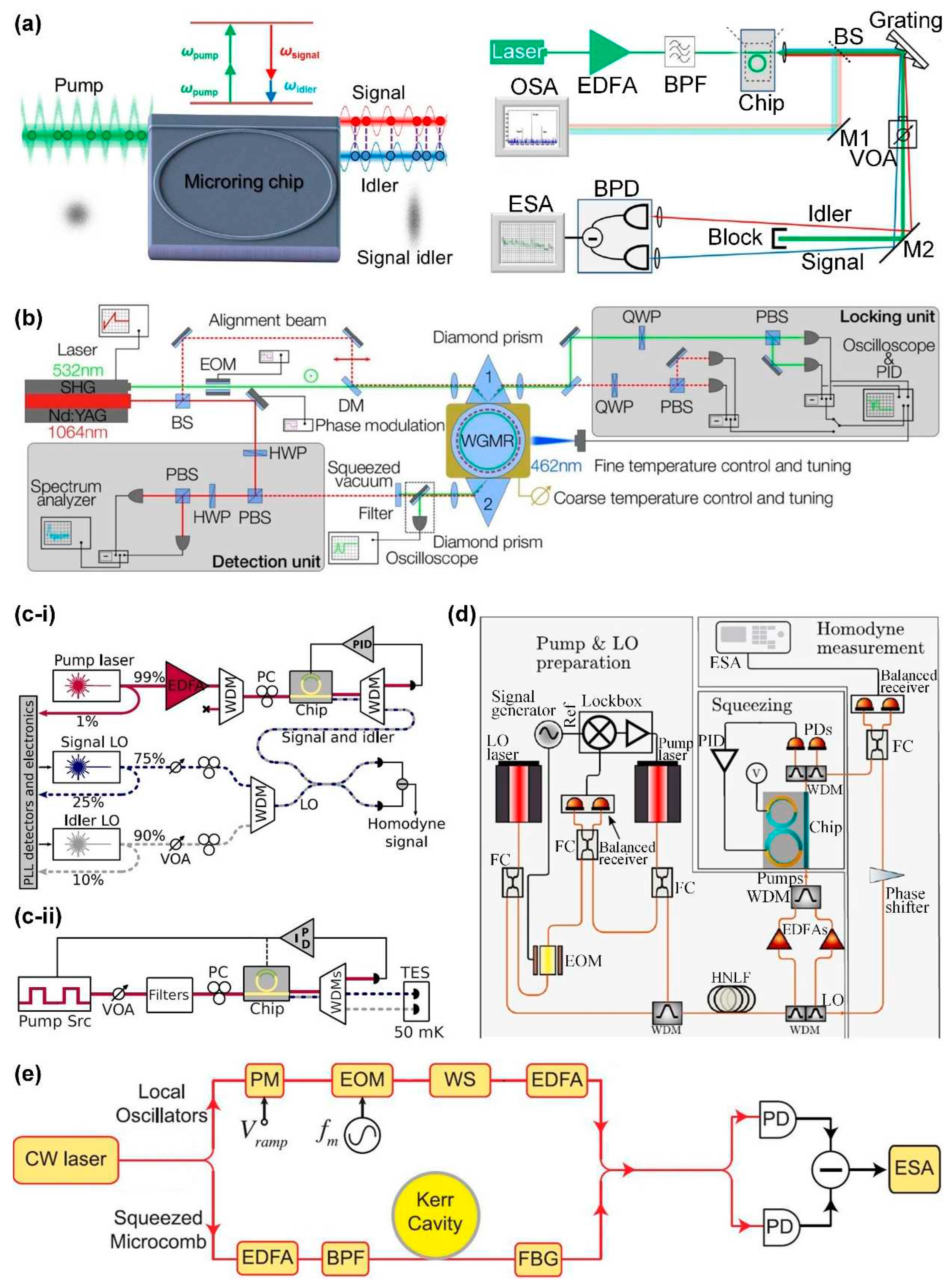 Preprints 66906 g025