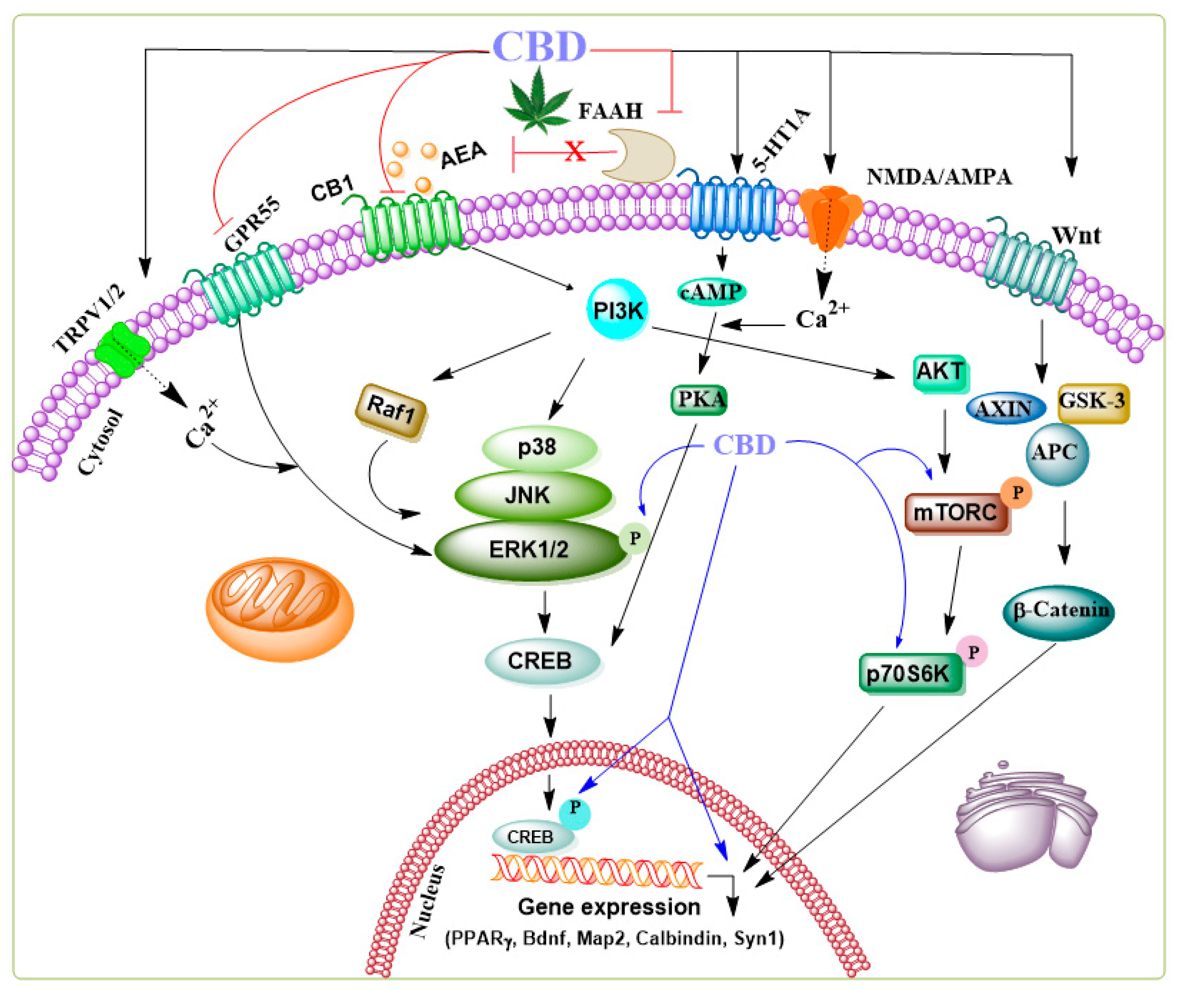 Preprints 119475 g002