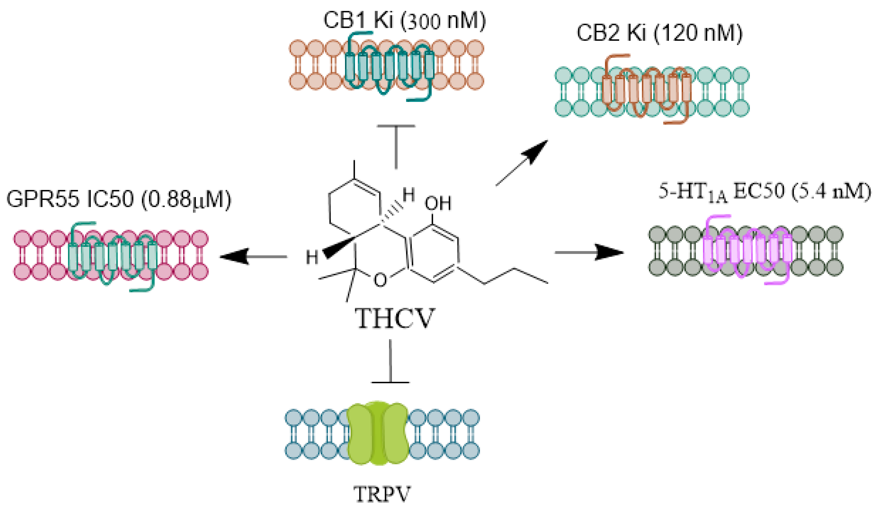 Preprints 119475 g003