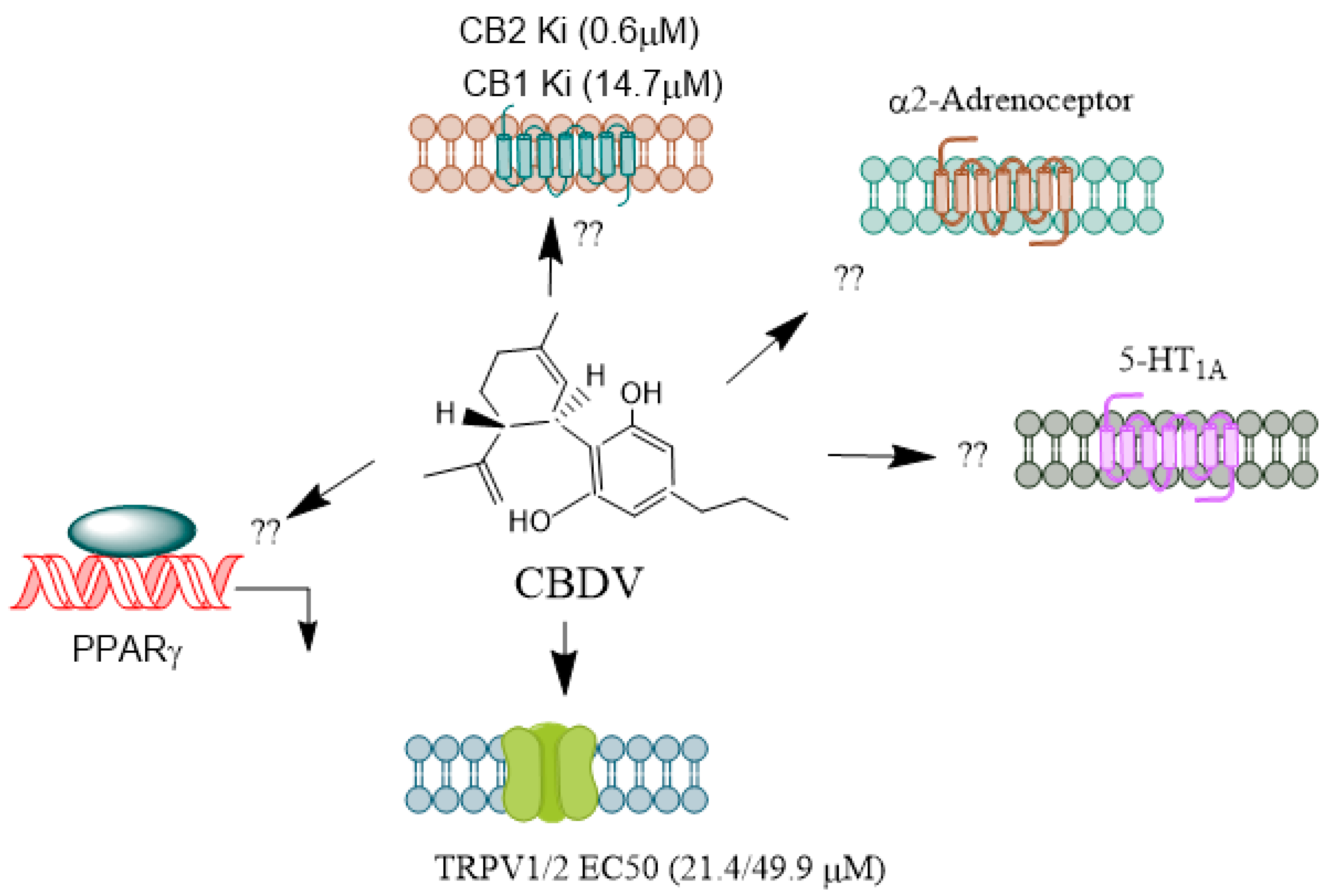 Preprints 119475 g004