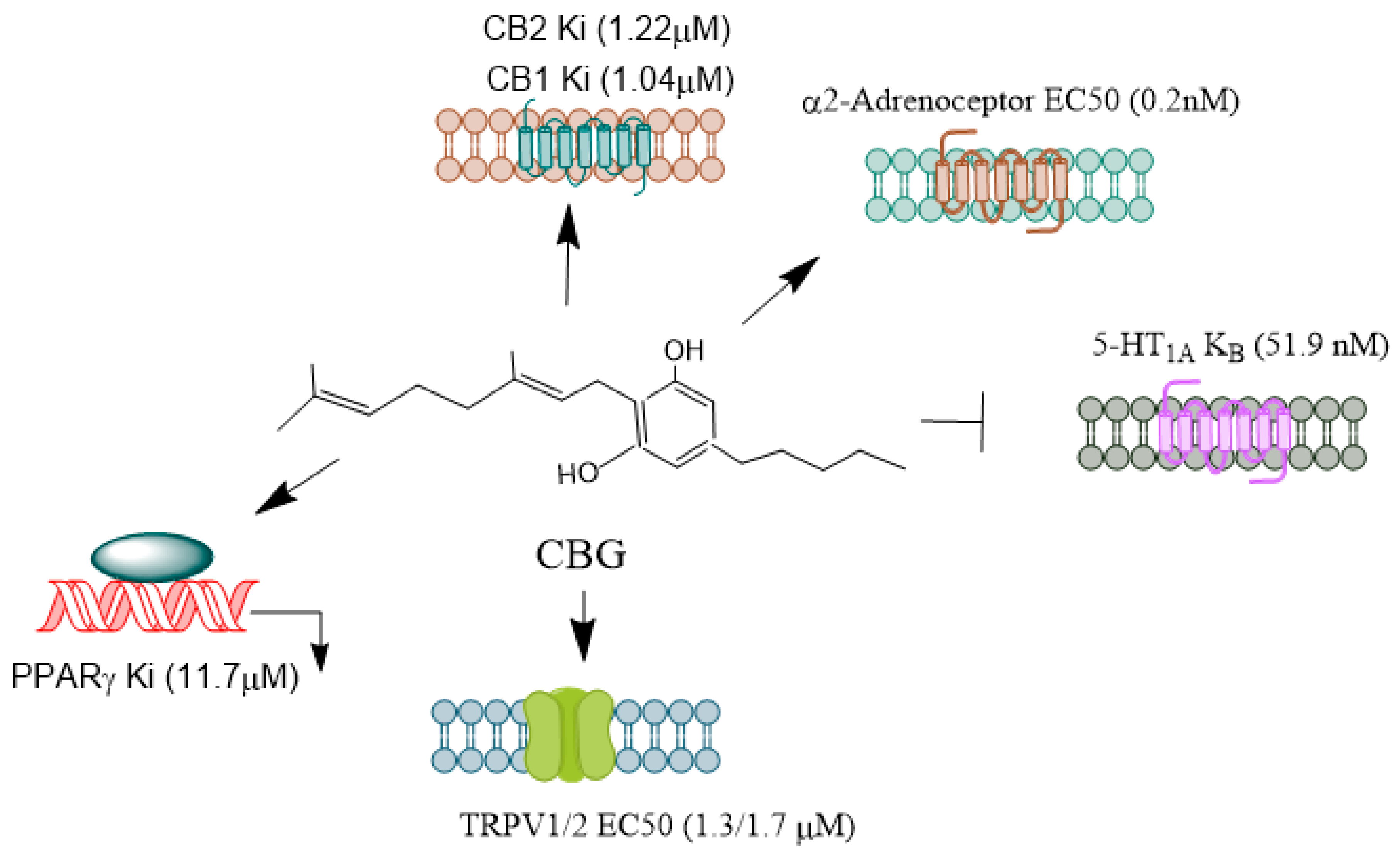 Preprints 119475 g005