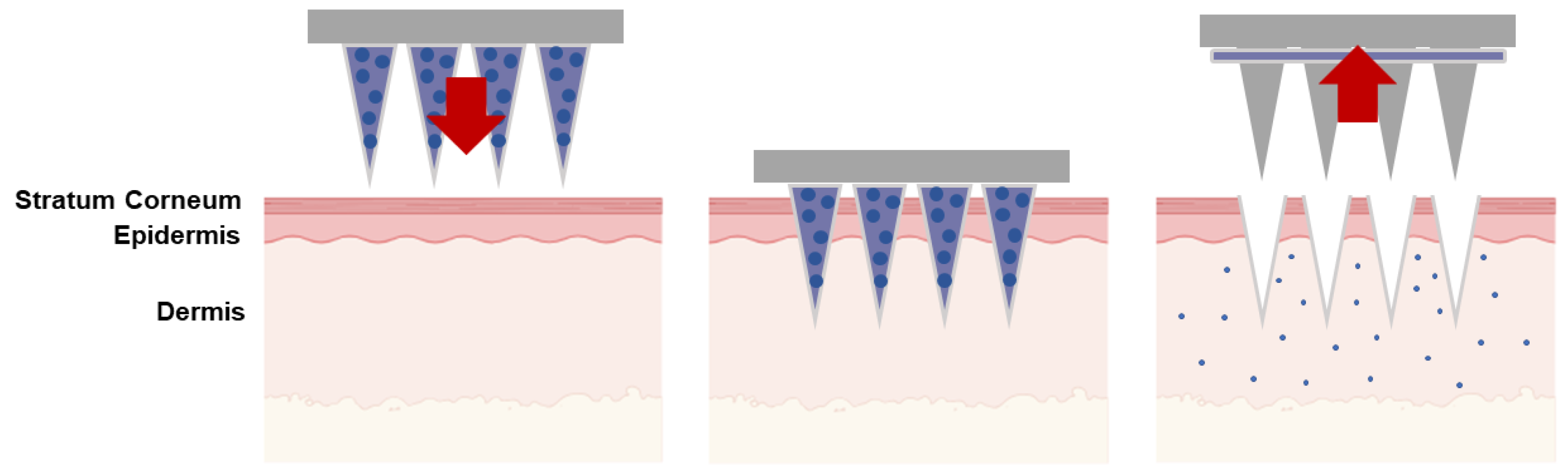 Preprints 103502 g003