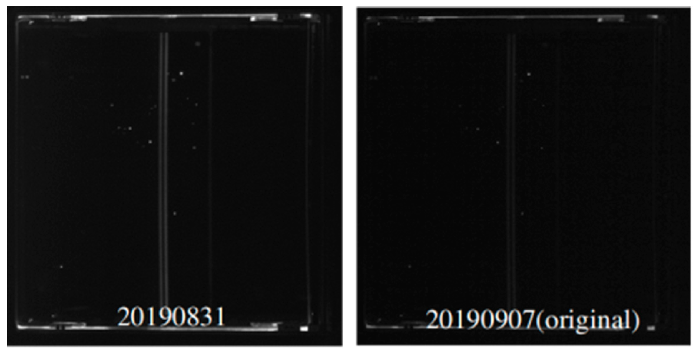 Preprints 103497 g003