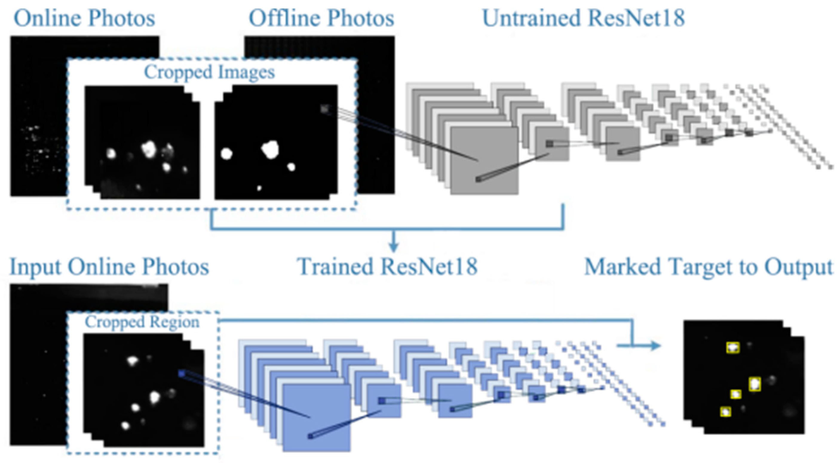 Preprints 103497 g012