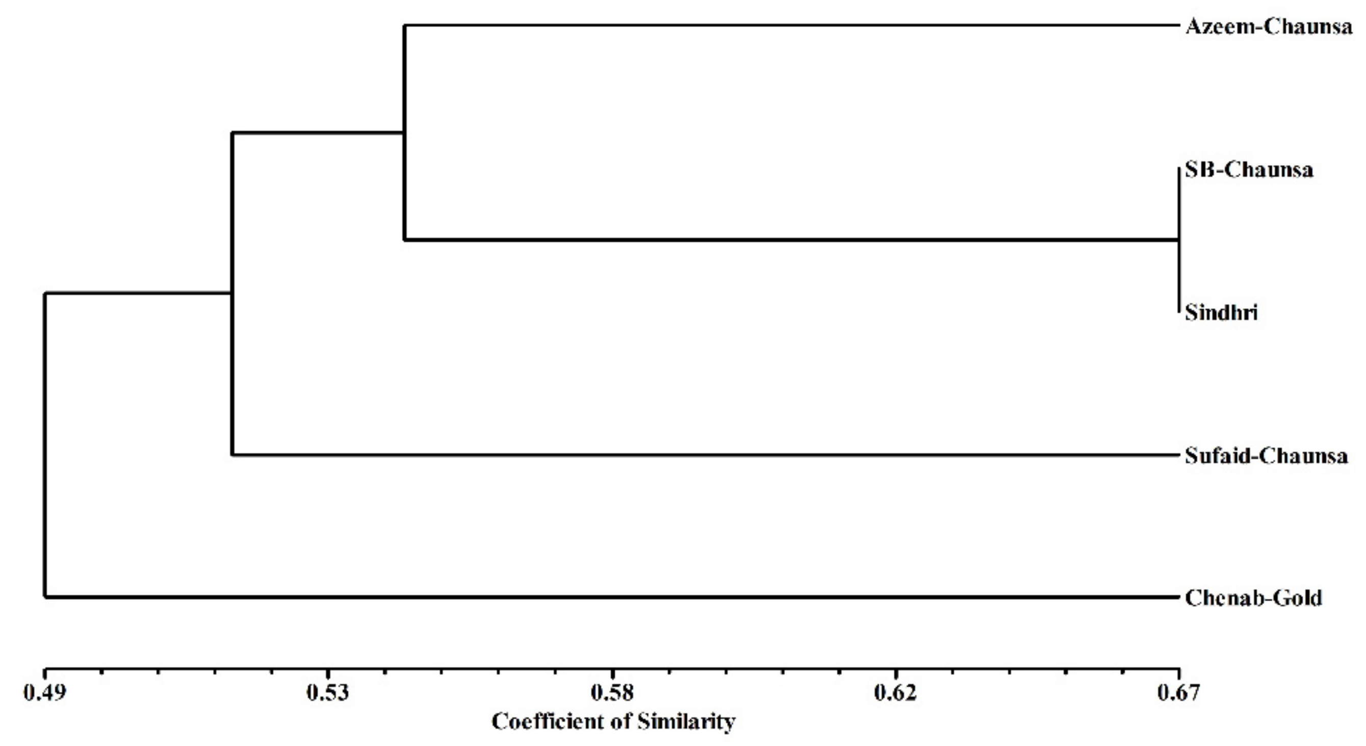 Preprints 109415 g003