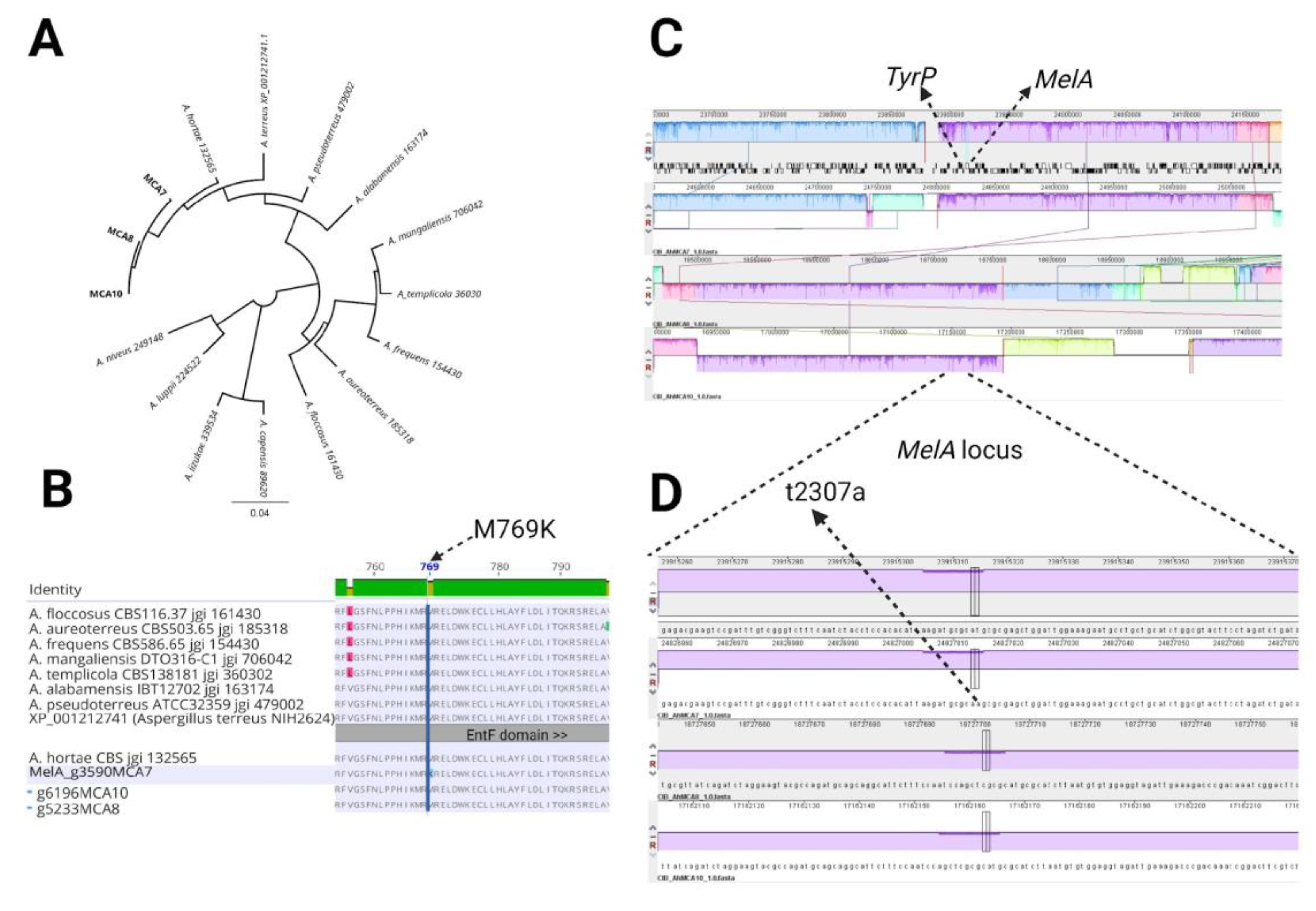 Preprints 116698 g003