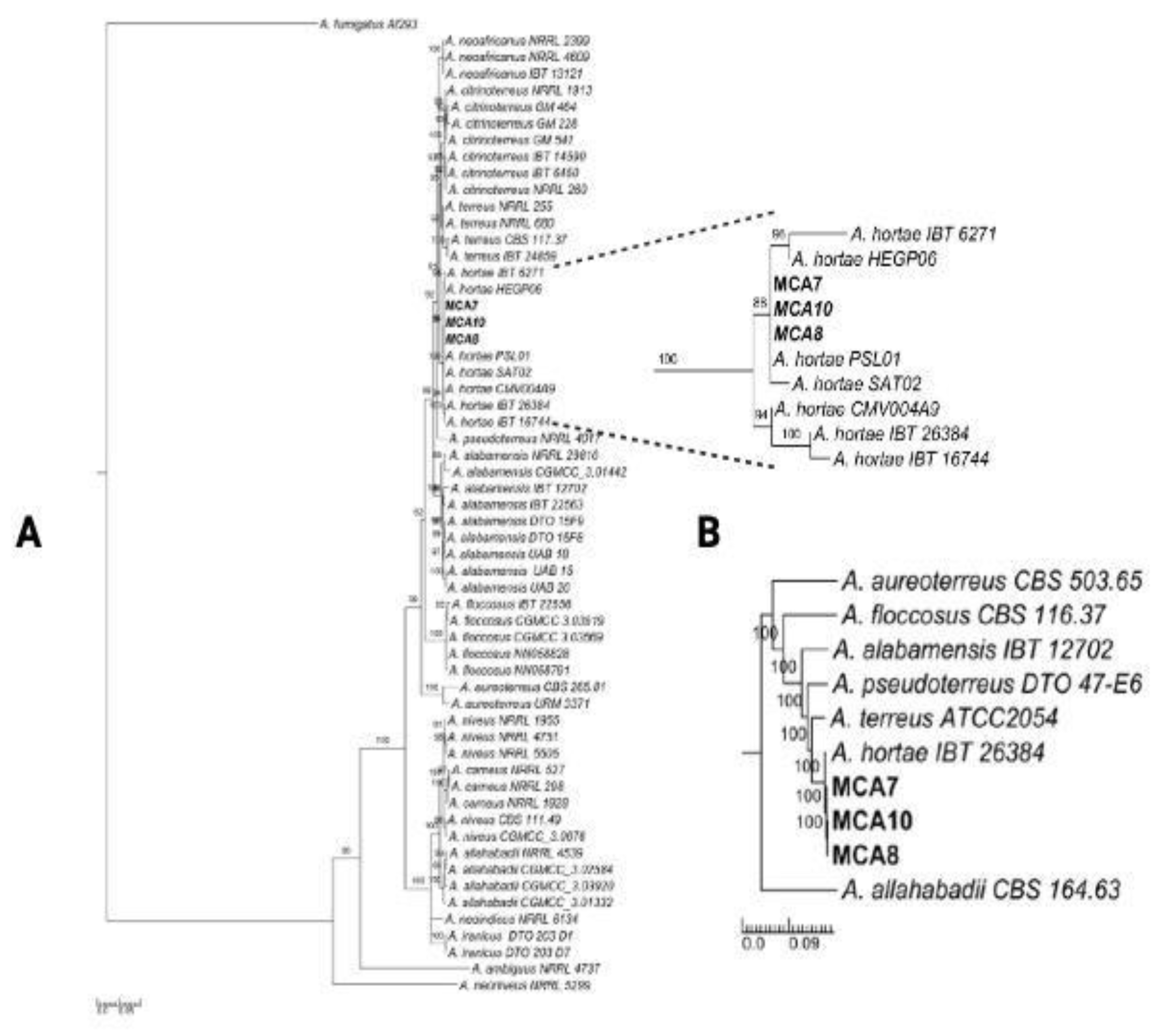 Preprints 116698 g004