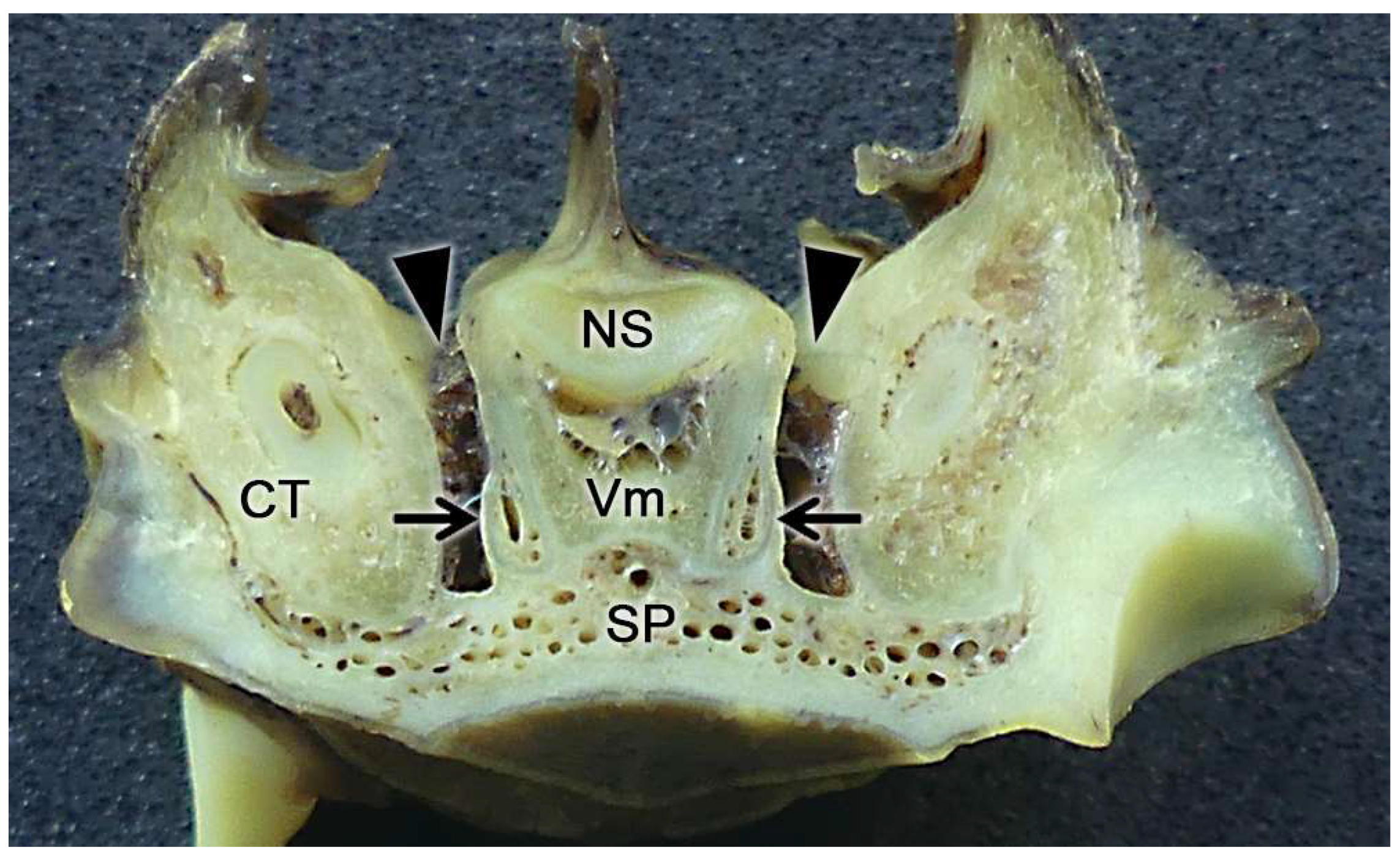 Preprints 83409 g012