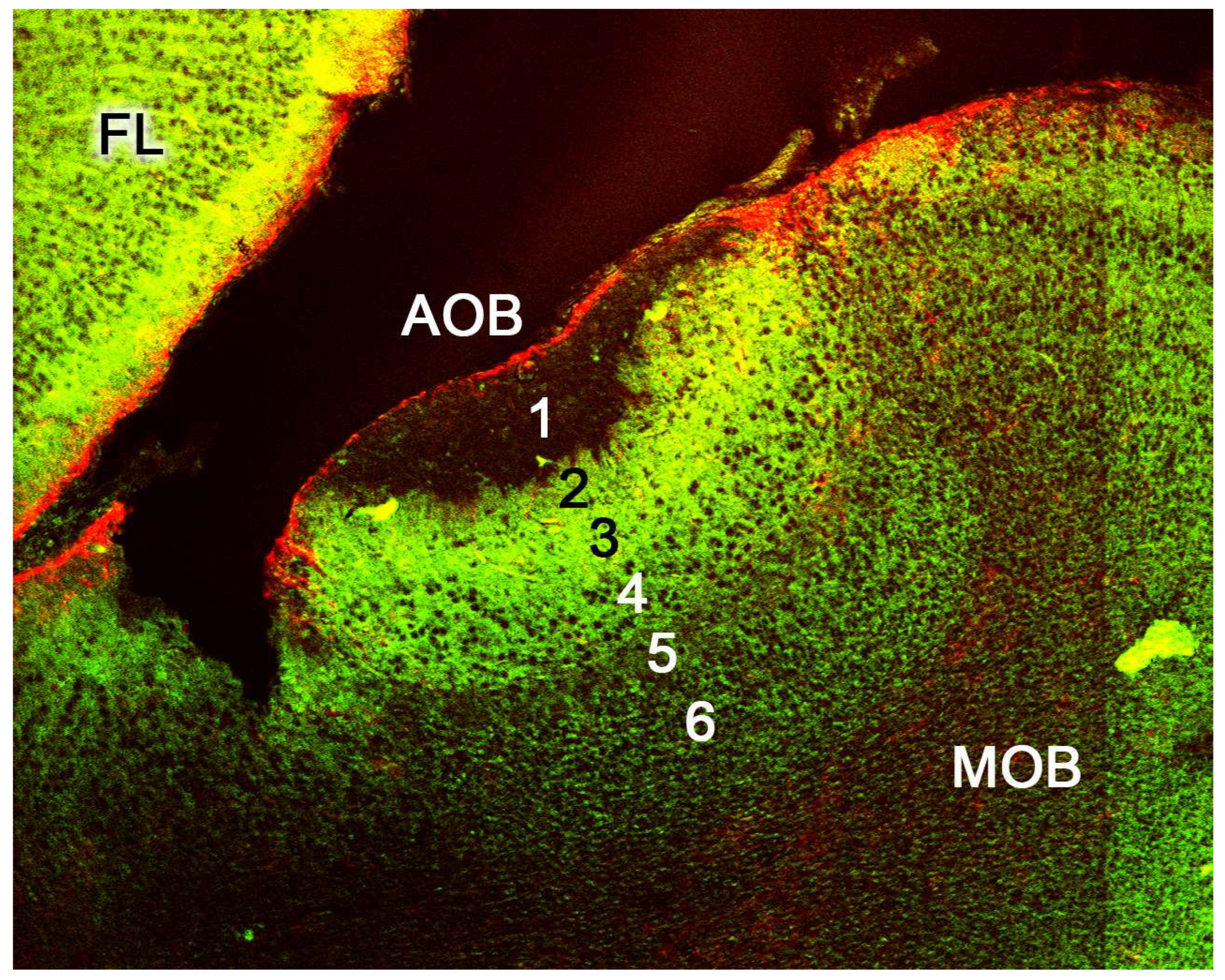 Preprints 83409 g013