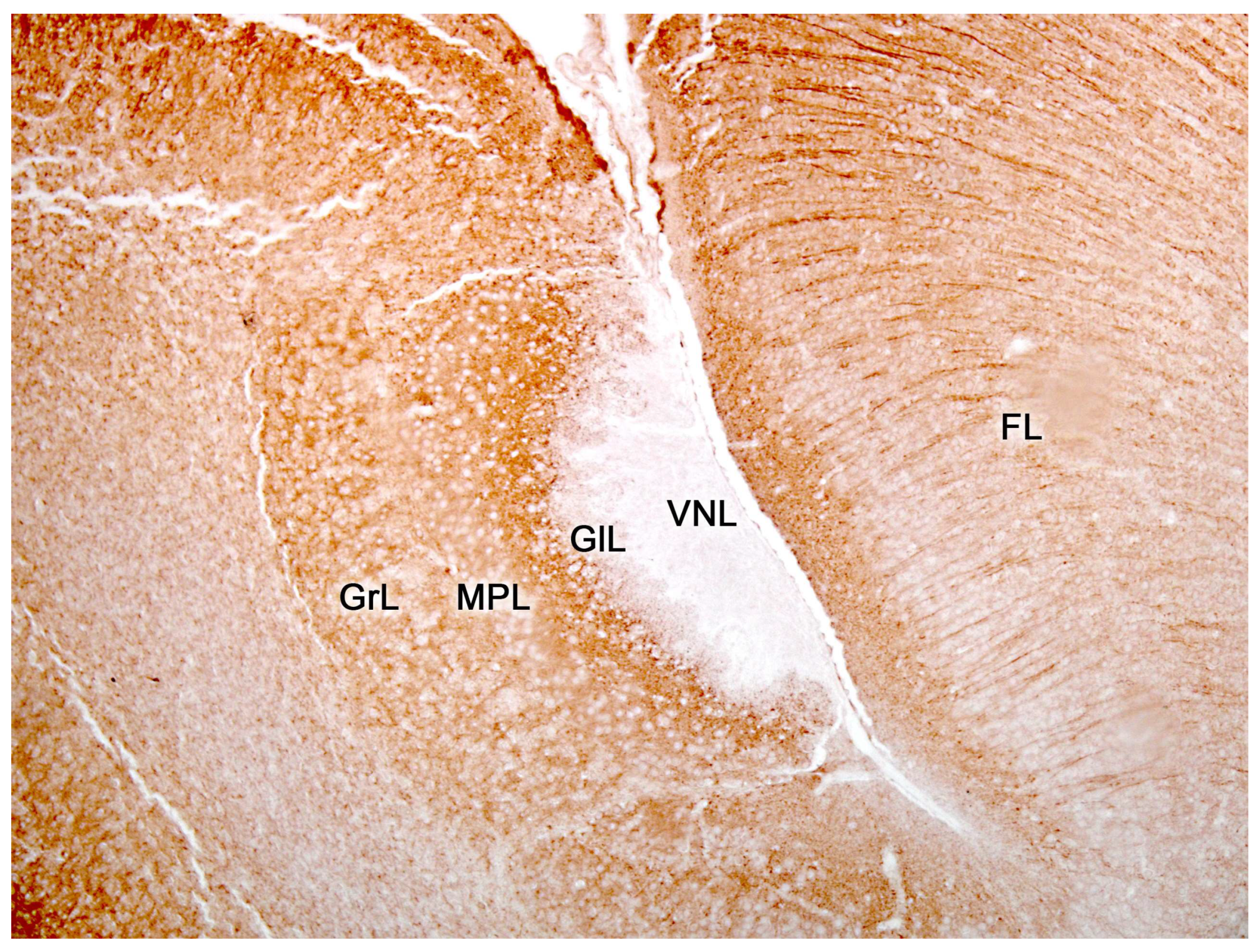 Preprints 83409 g014