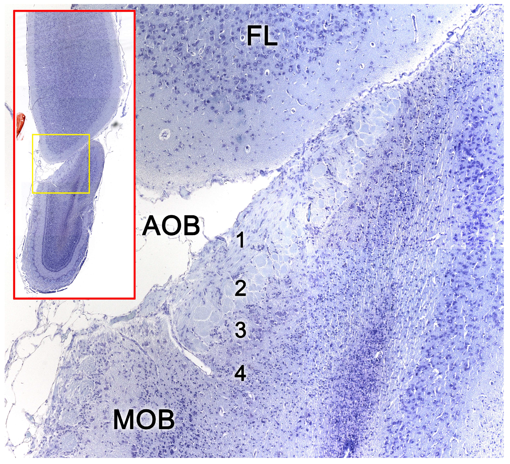 Preprints 83409 g015