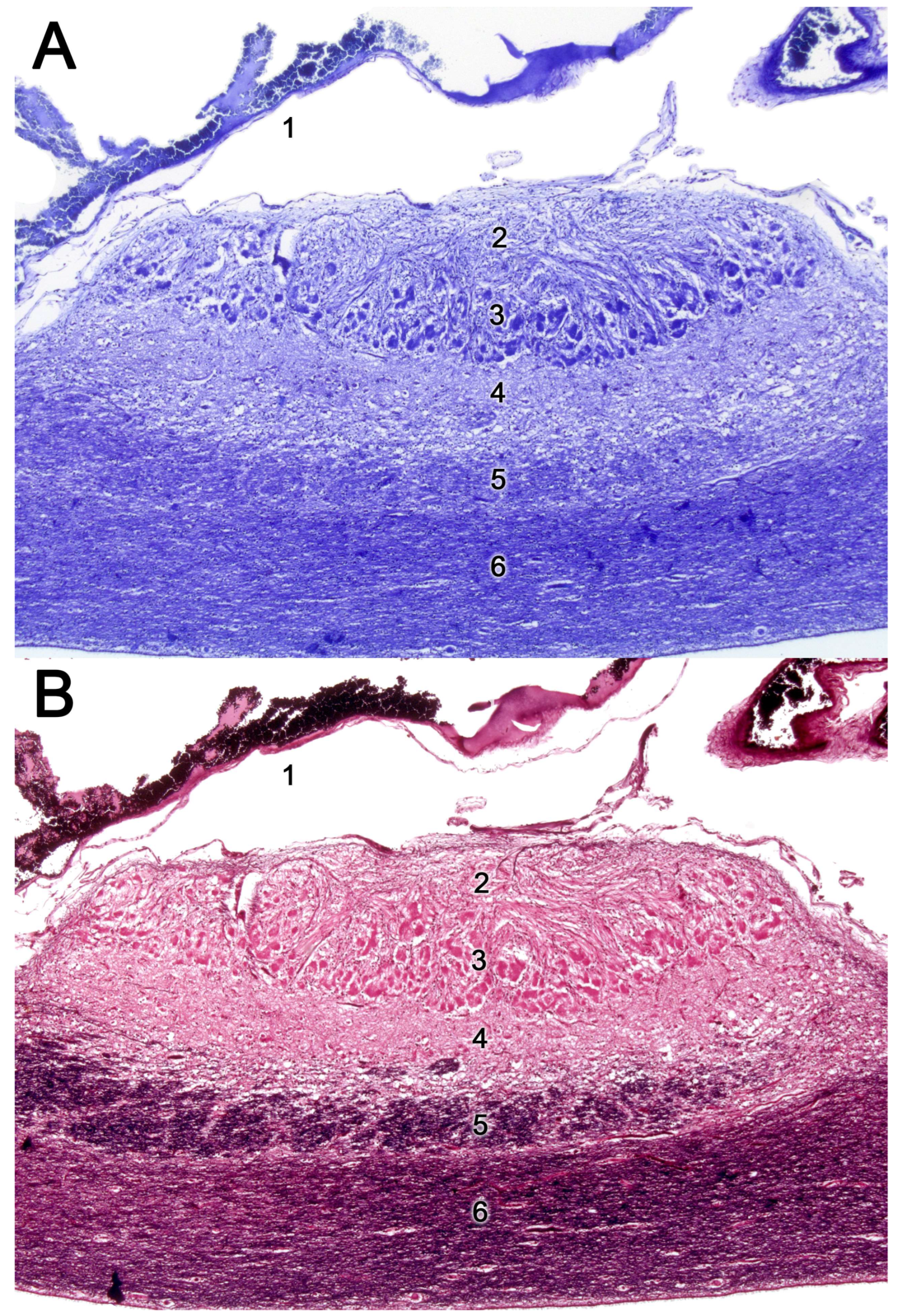 Preprints 83409 g016