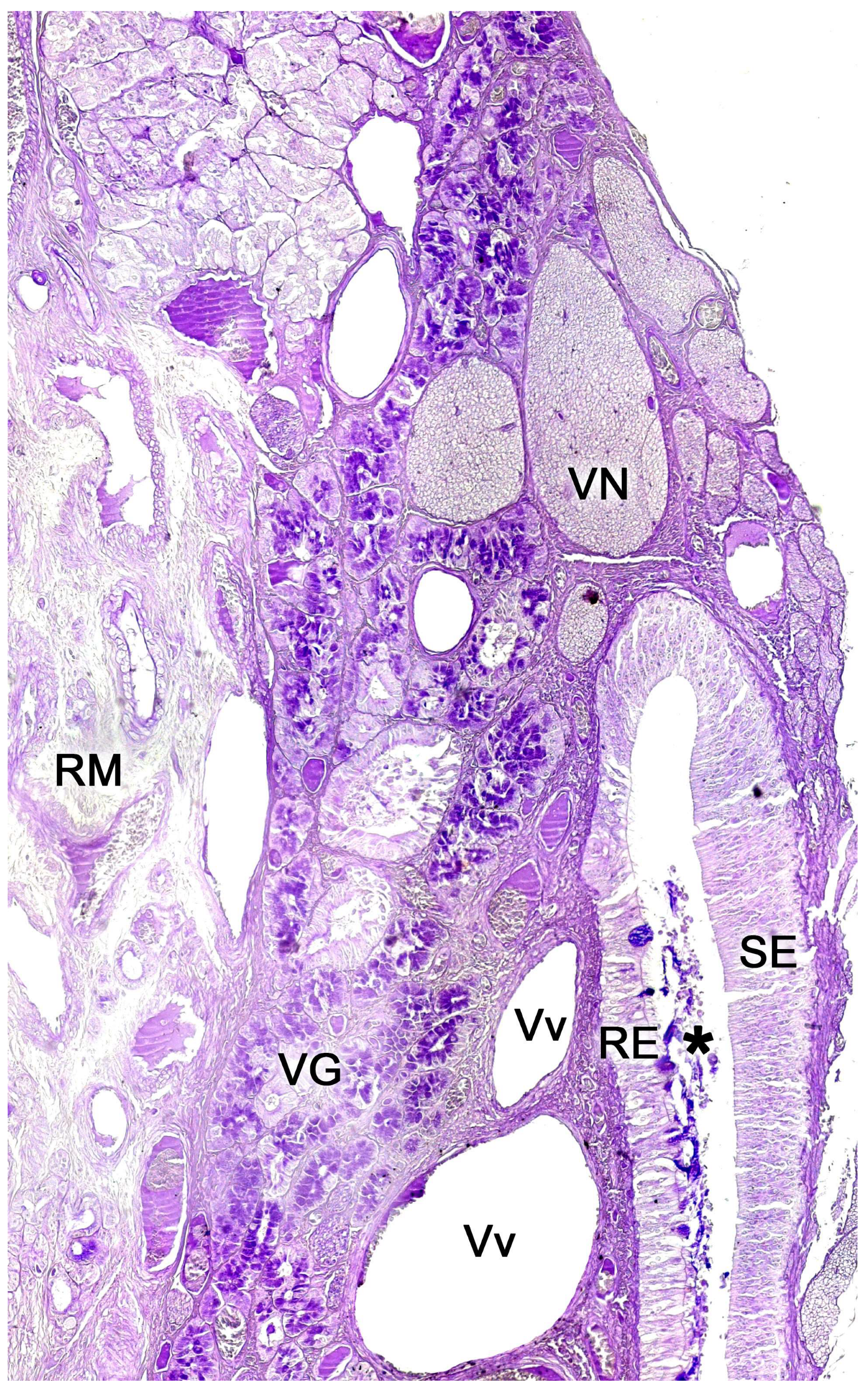 Preprints 83409 g021