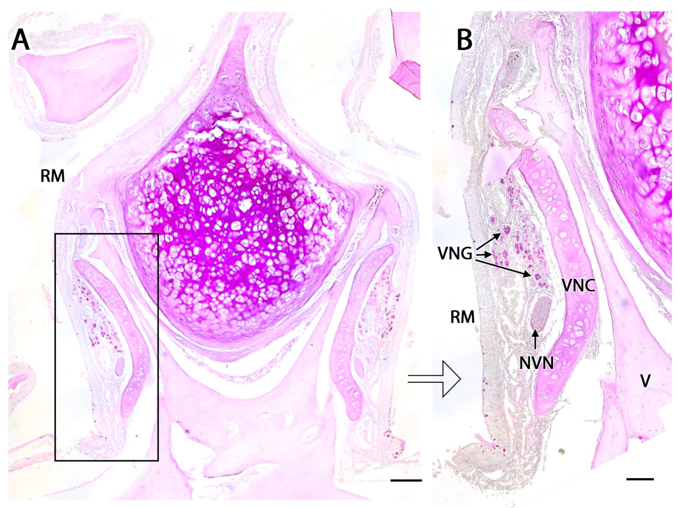 Preprints 83409 g024