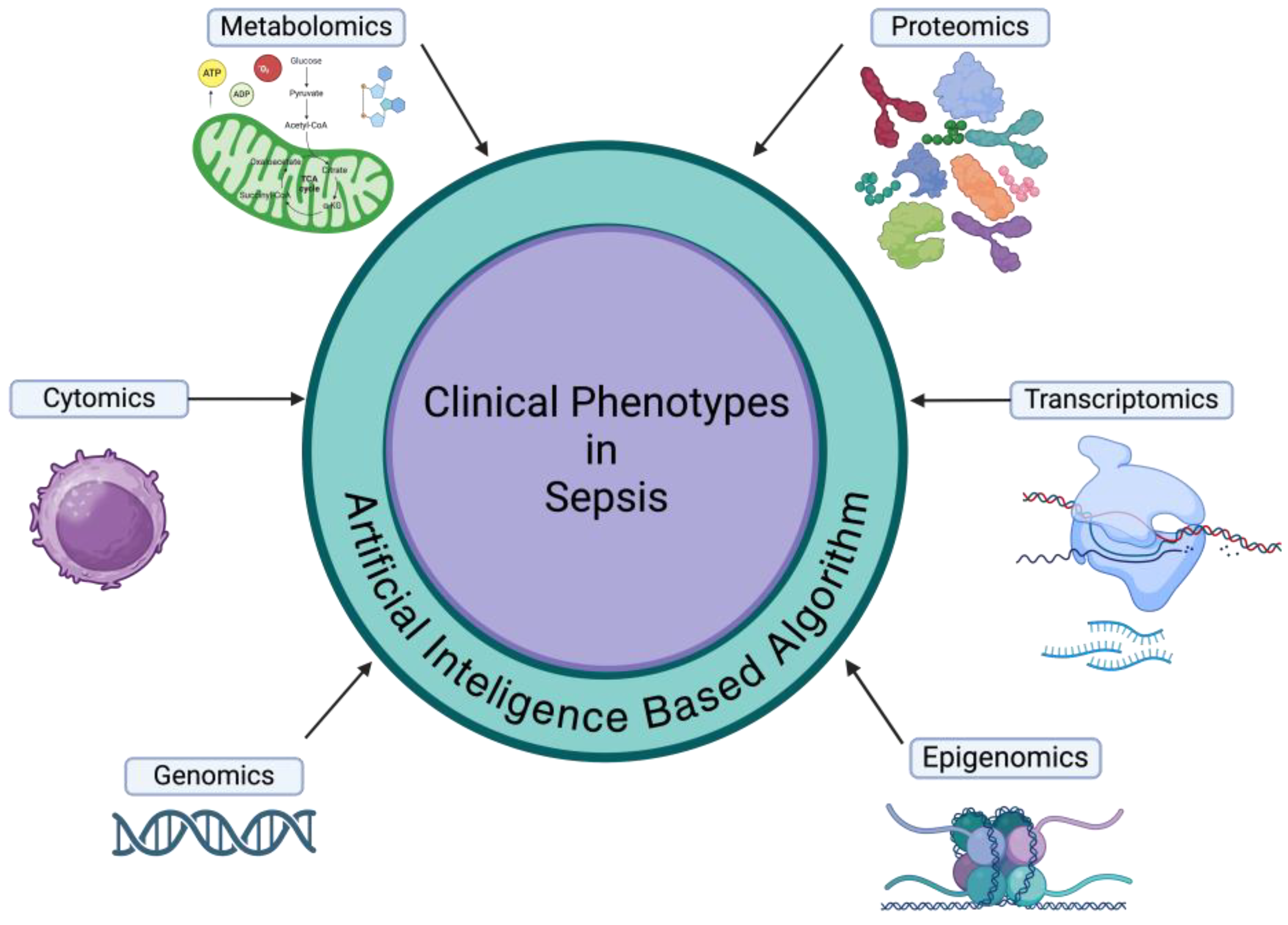 Preprints 119539 g001