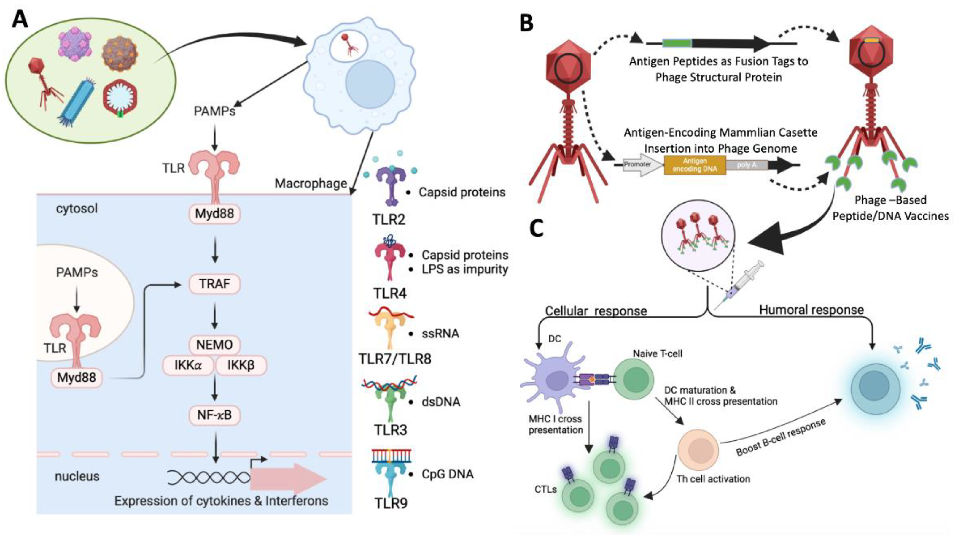 Preprints 117577 g003