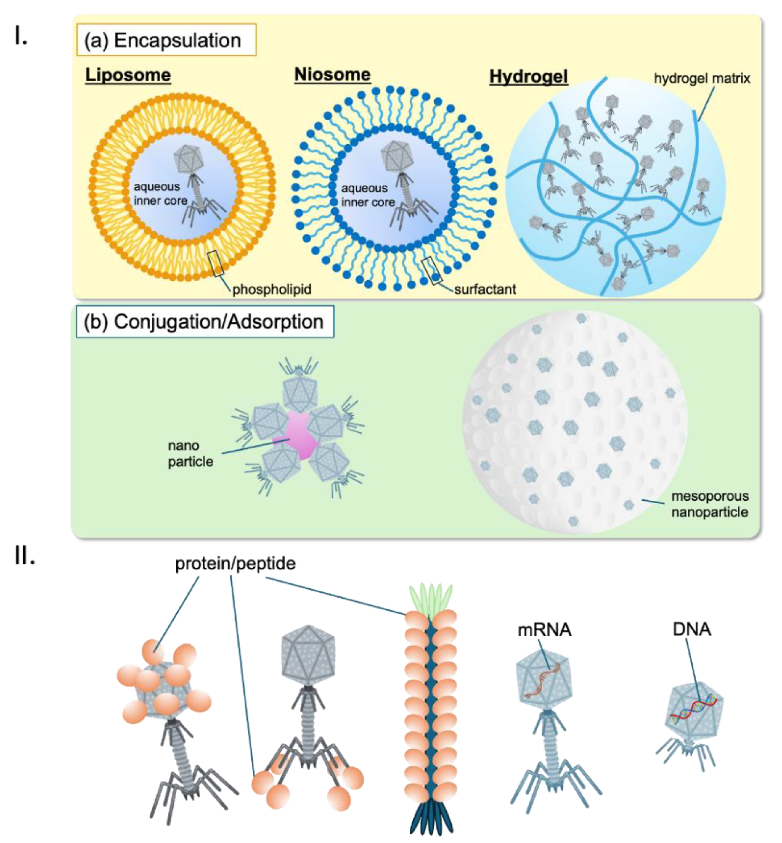 Preprints 117577 g004