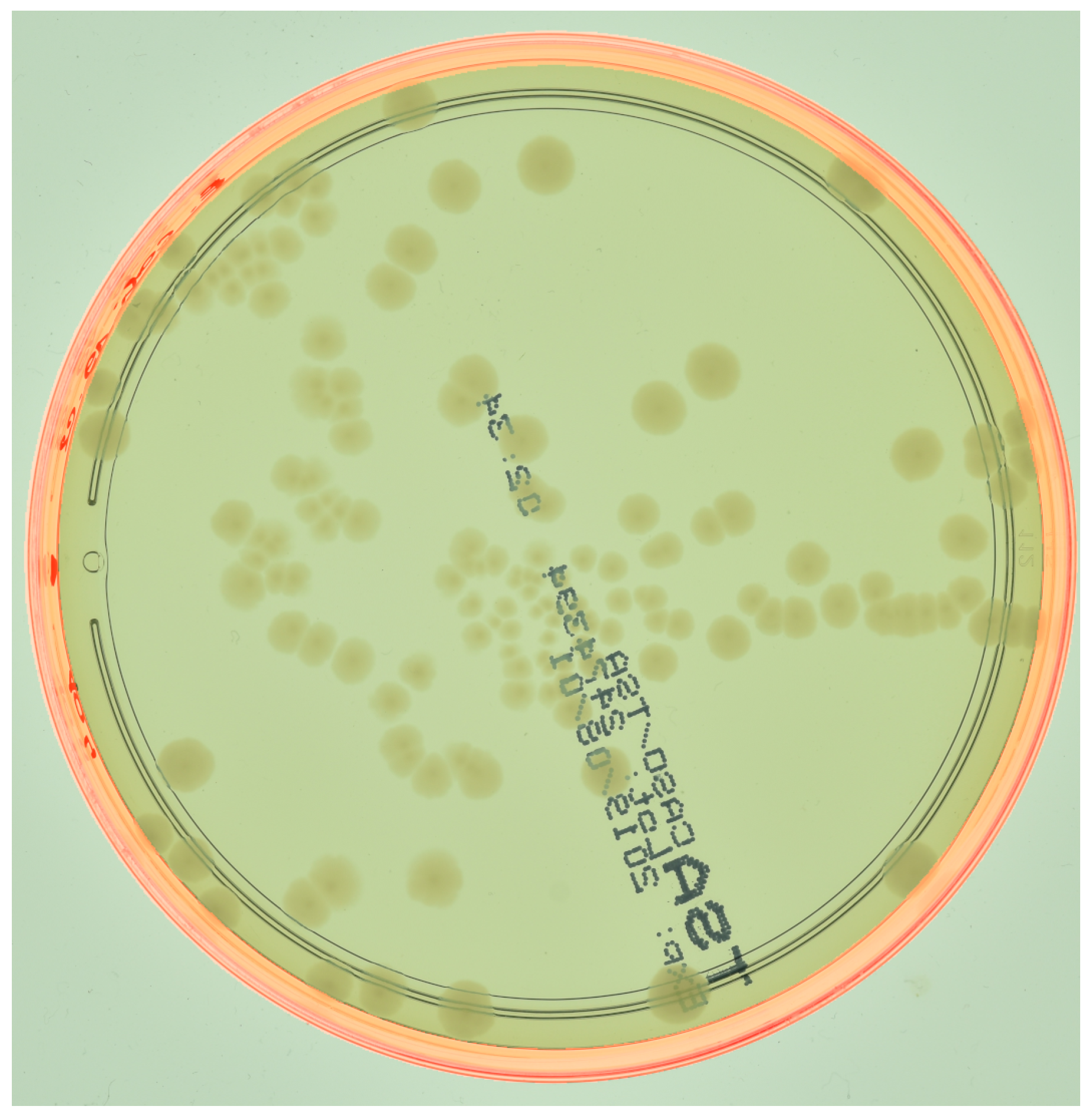 Preprints 83699 g004