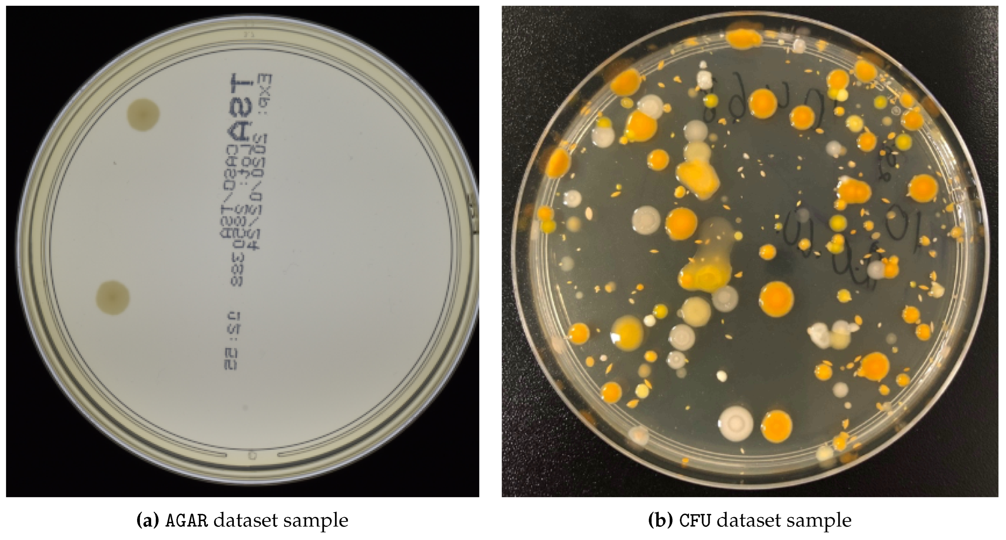 Preprints 83699 g006