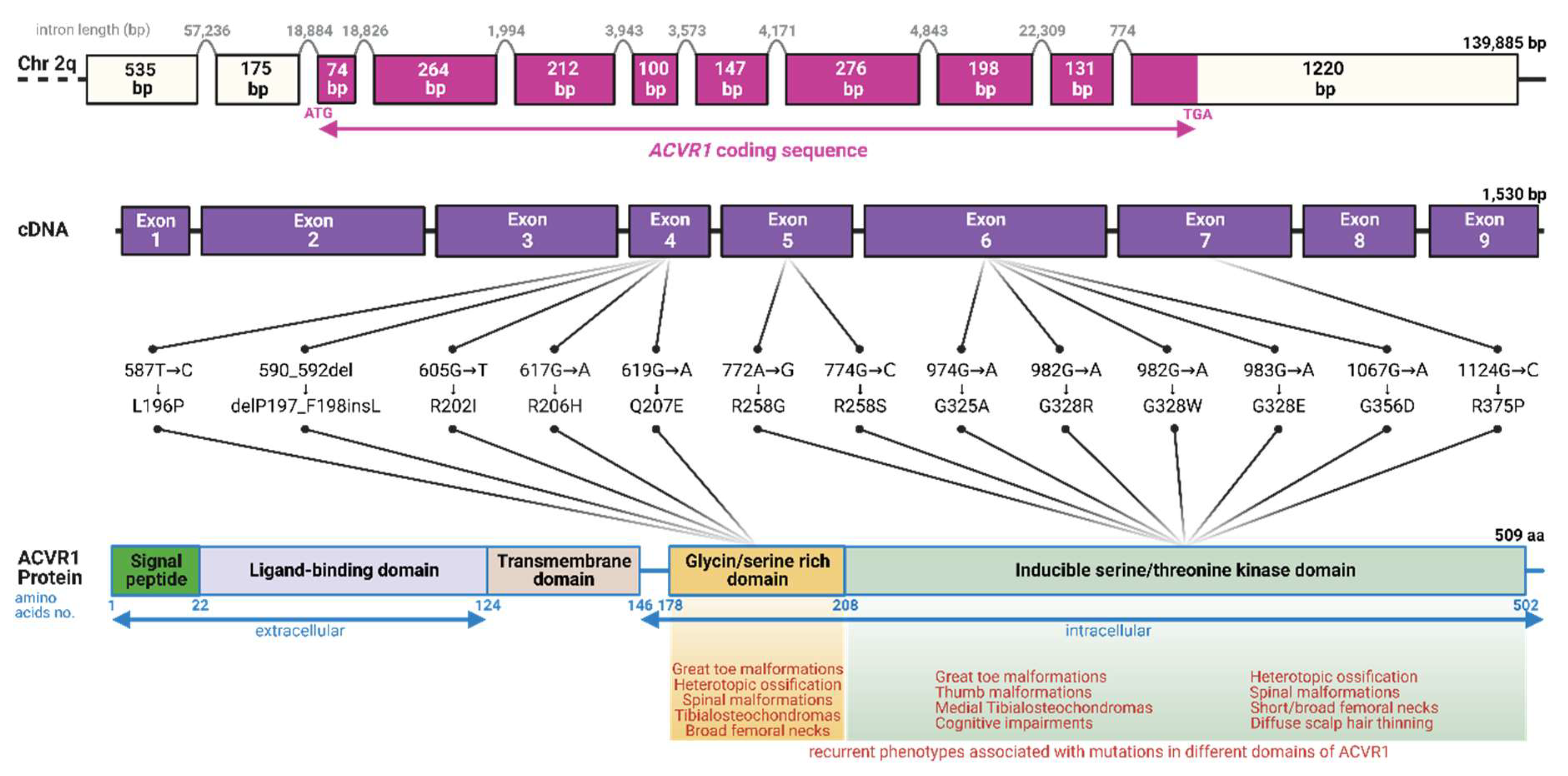 Preprints 86030 g001