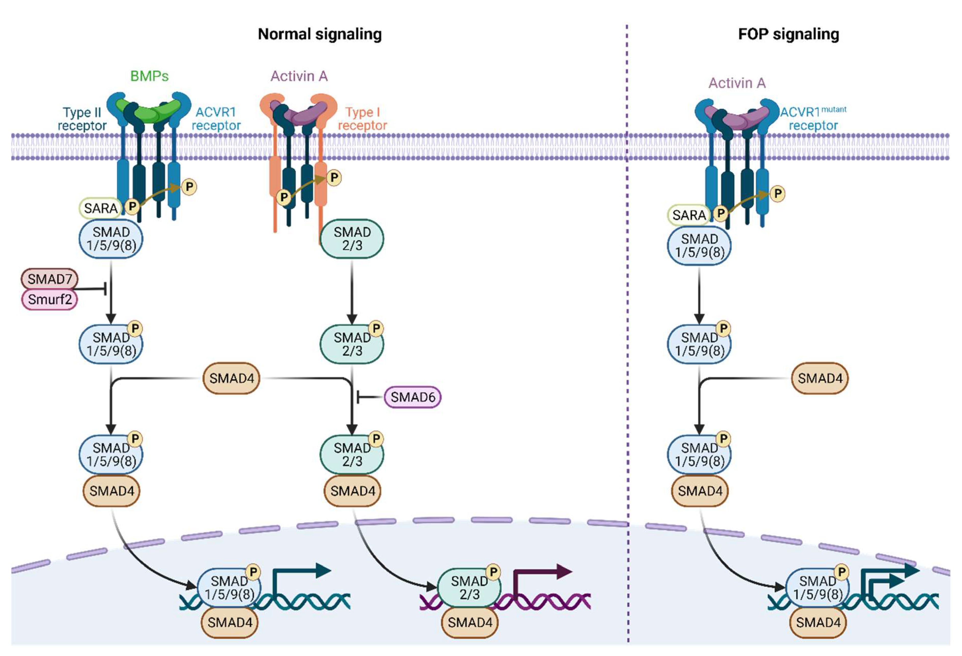 Preprints 86030 g002