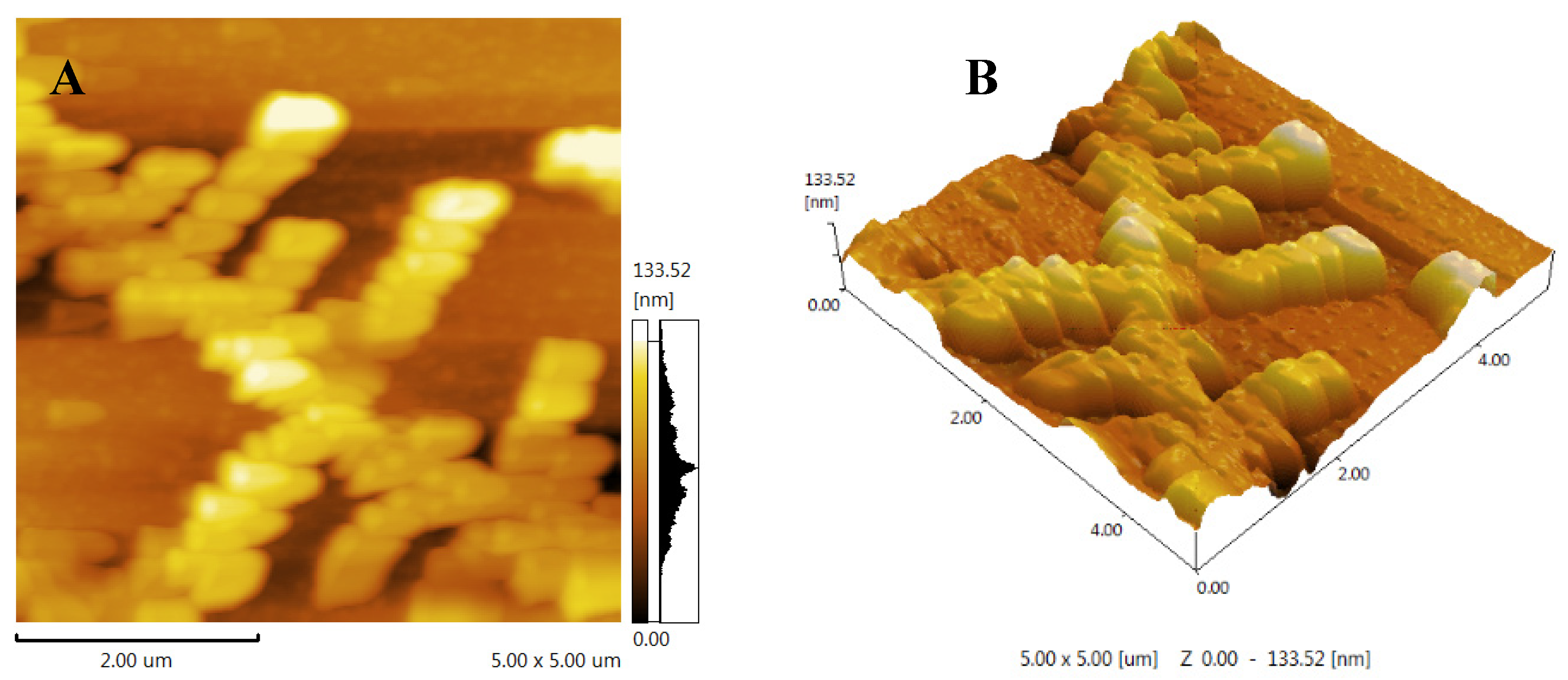 Preprints 92975 g004