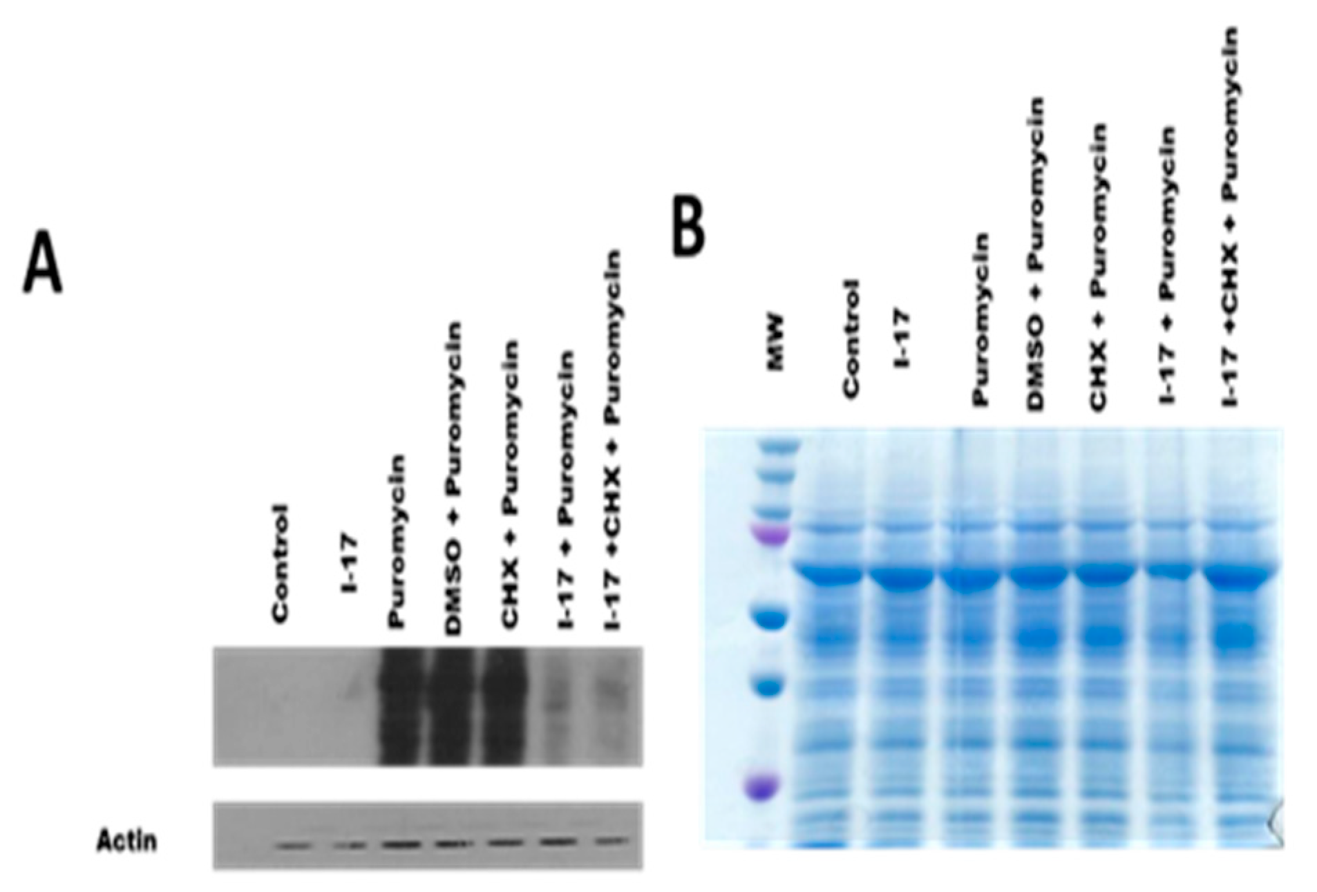 Preprints 86092 g001