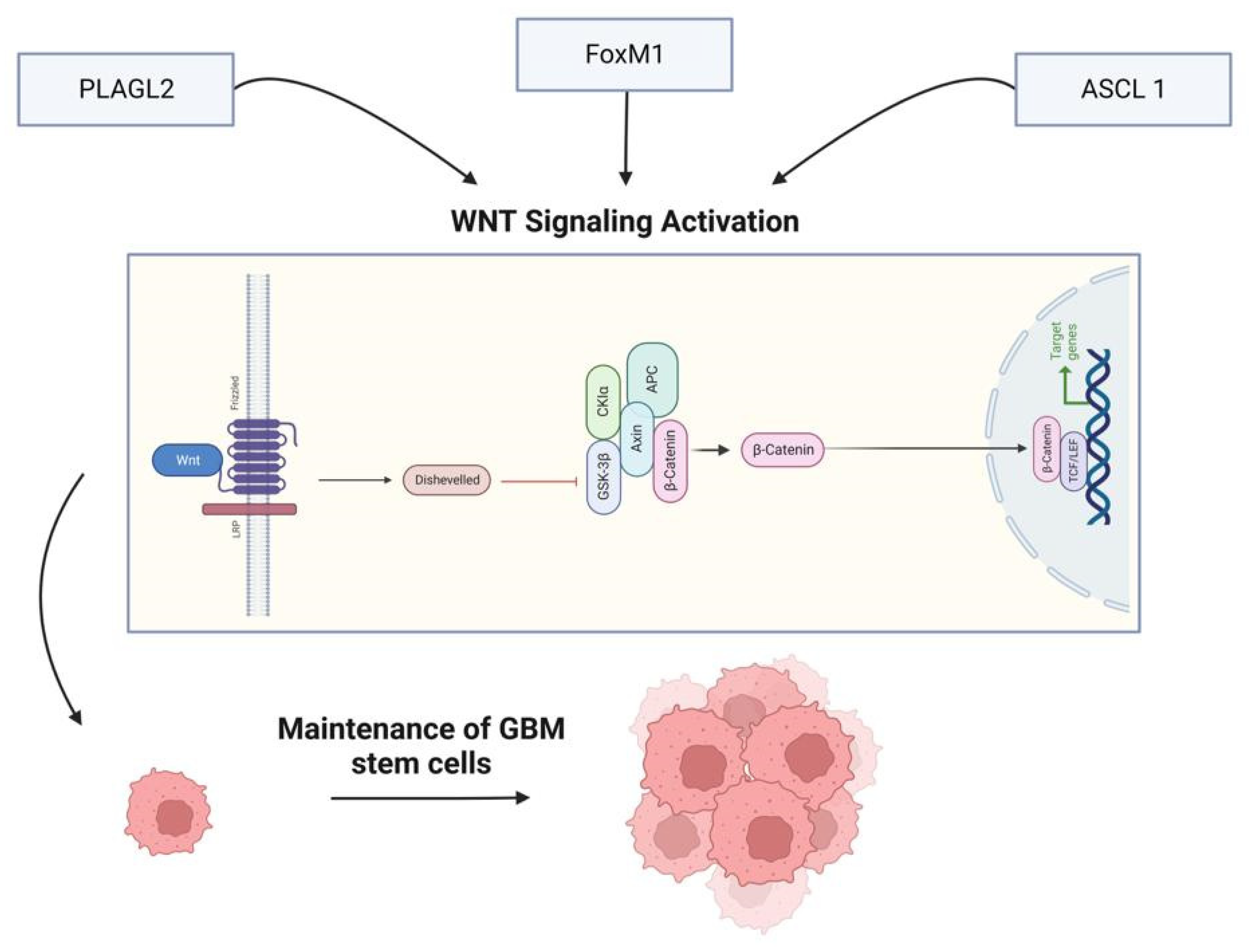 Preprints 77773 g001