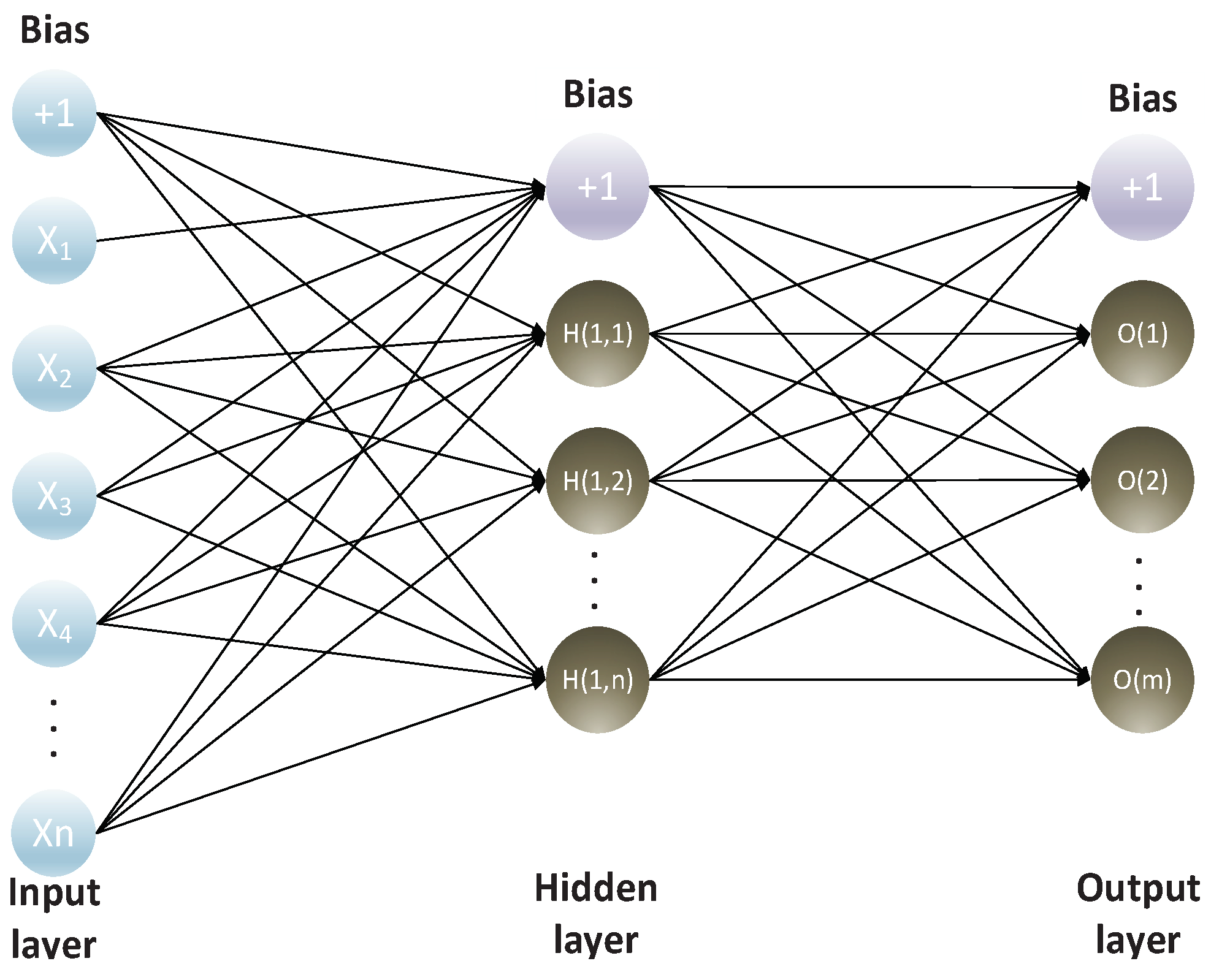 Preprints 102038 g002