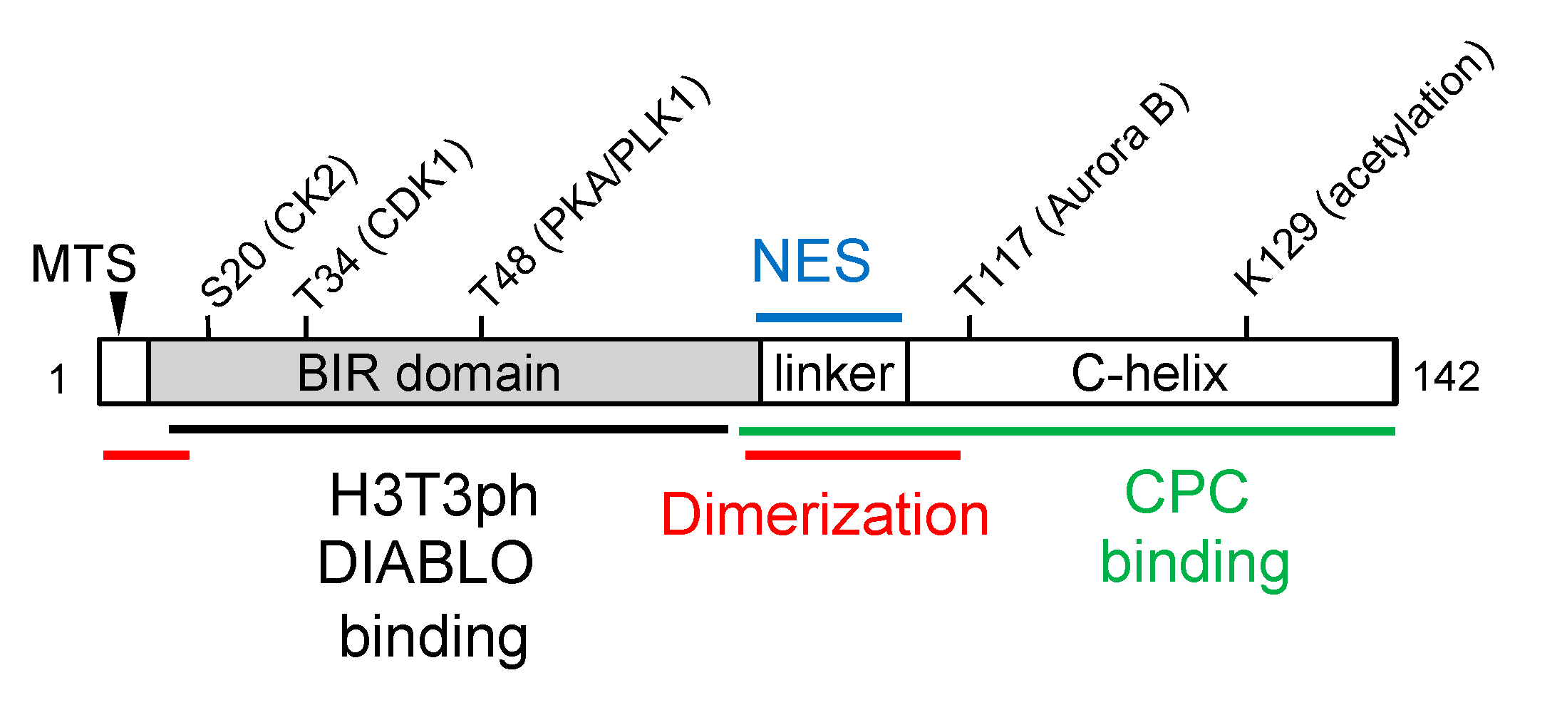 Preprints 101894 g001