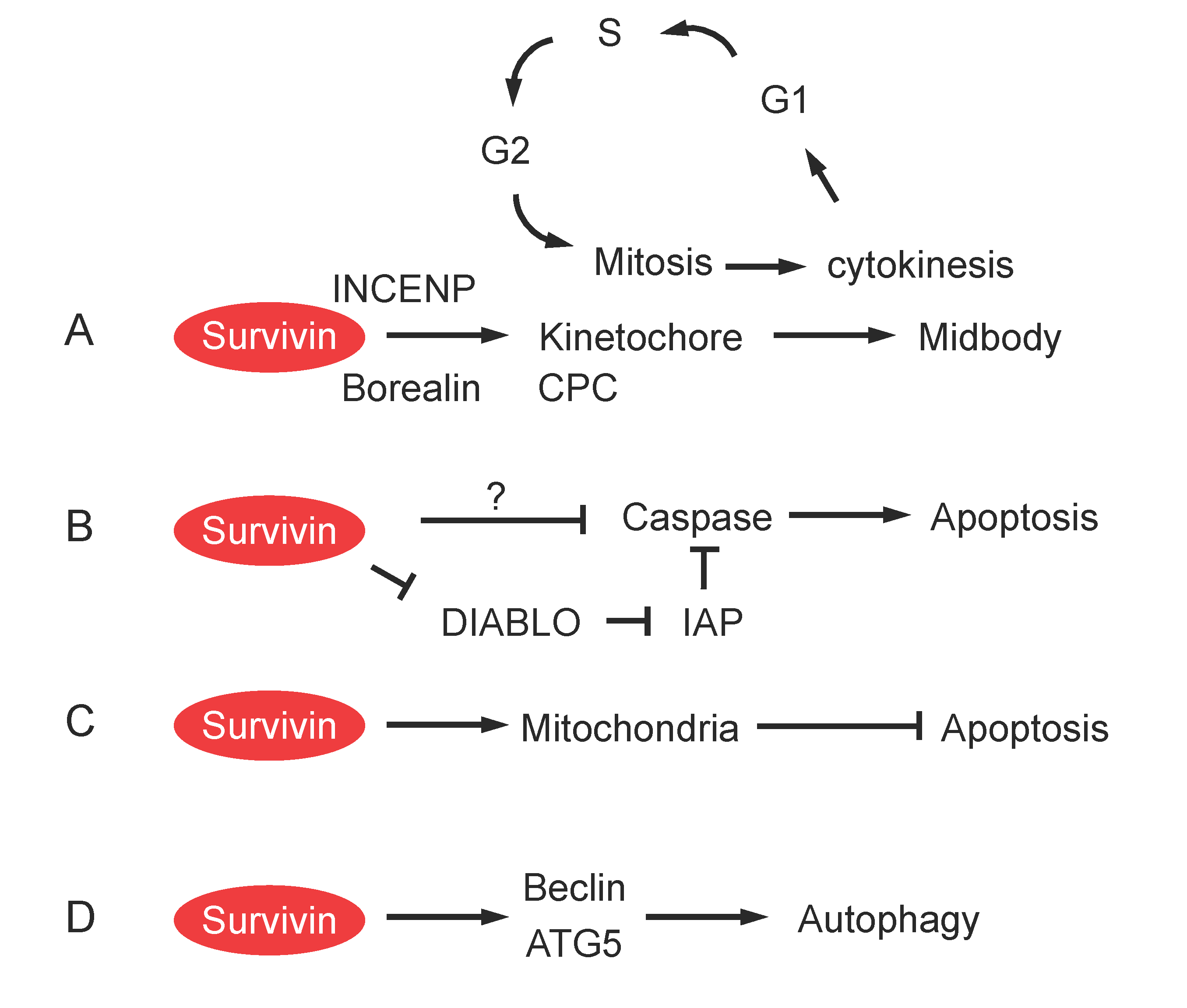 Preprints 101894 g002