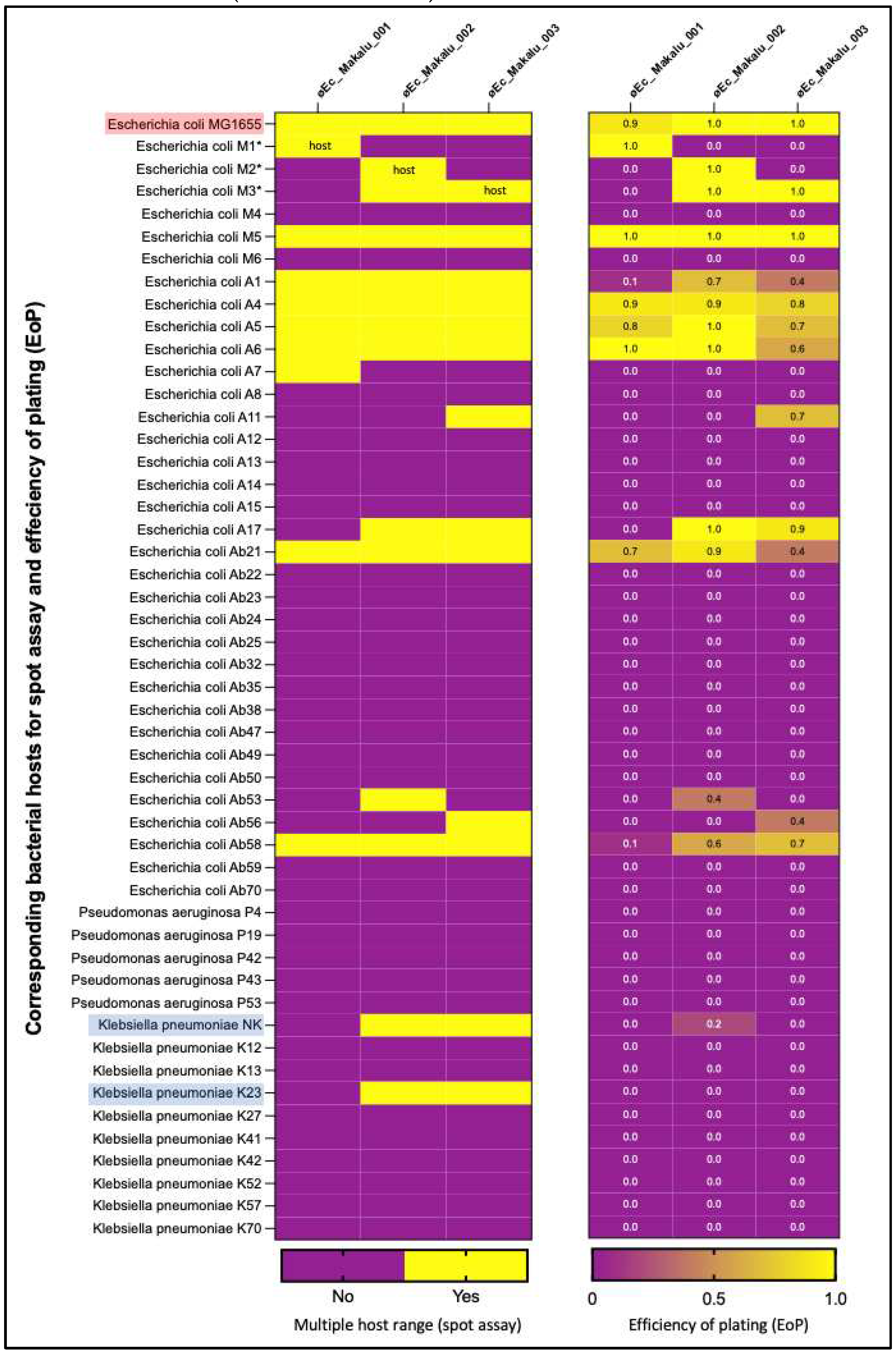 Preprints 89568 g003