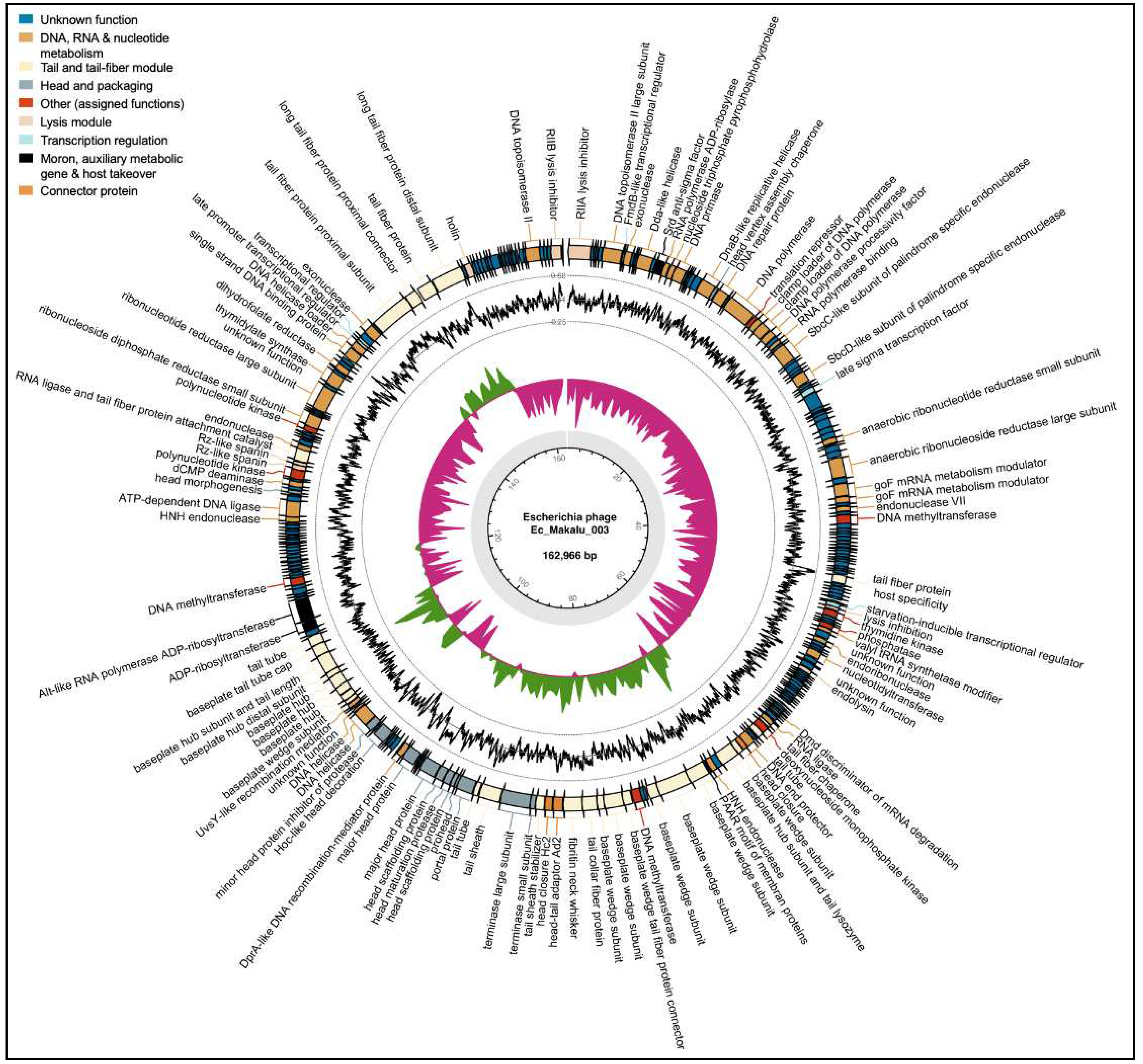 Preprints 89568 g006