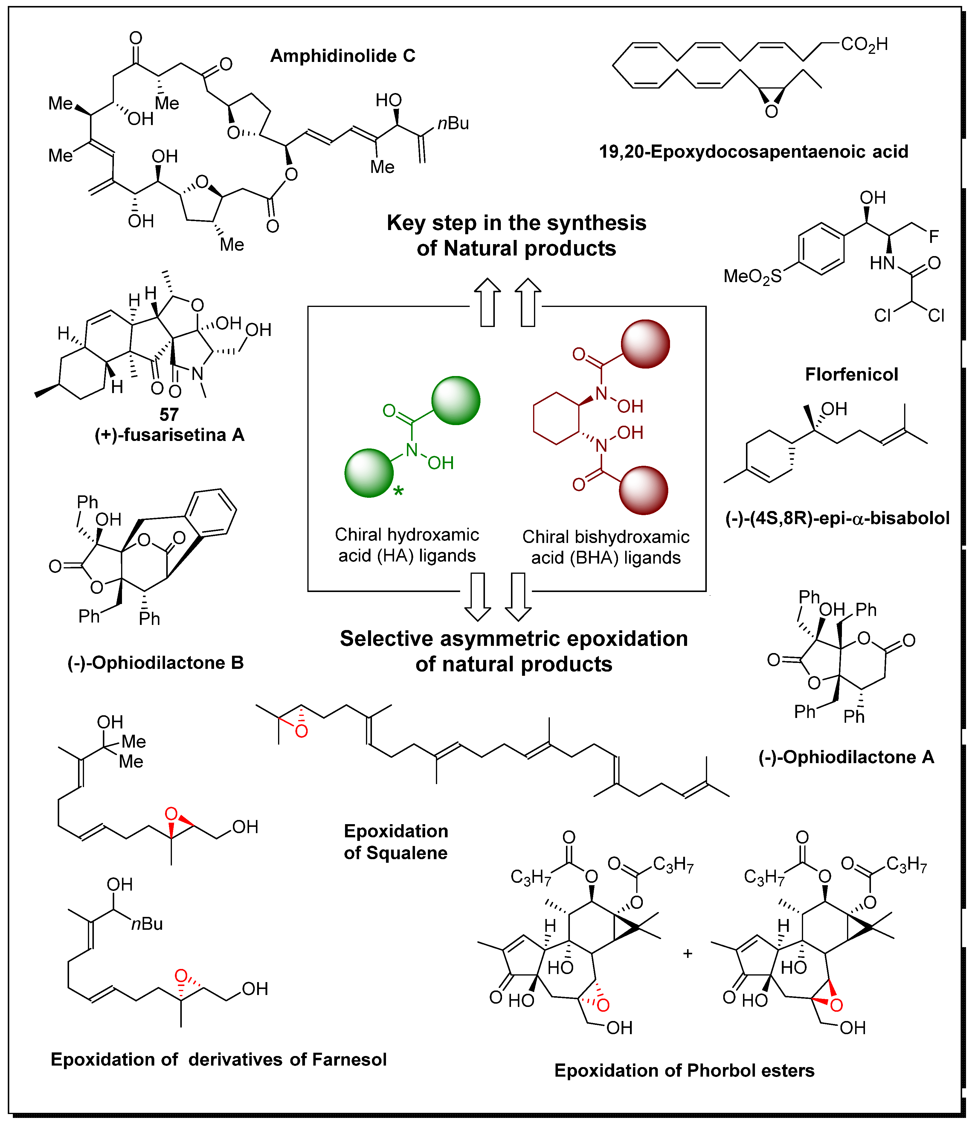 Preprints 87488 g001